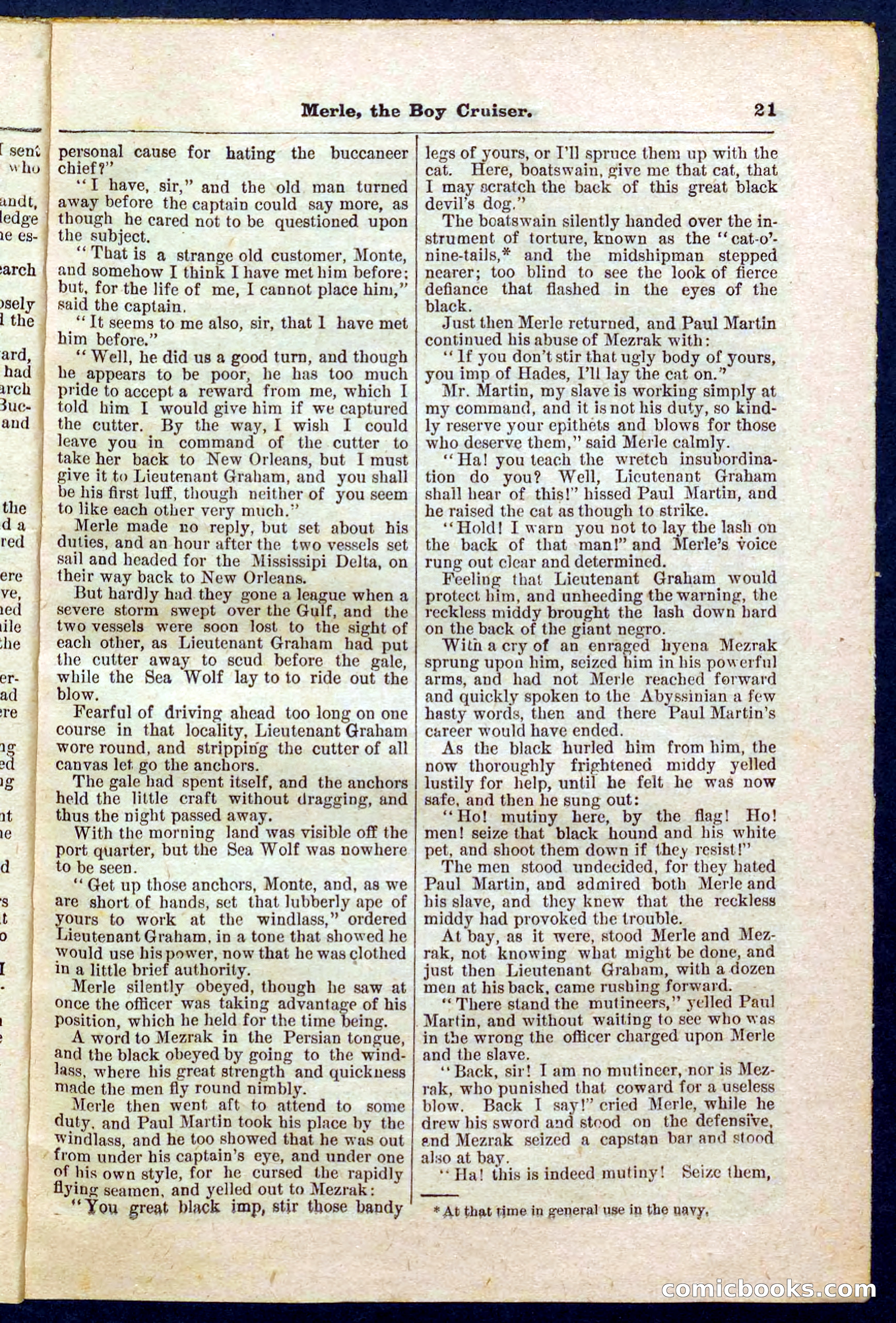Beadle's Pocket Library No. 227 — page 21 of 32