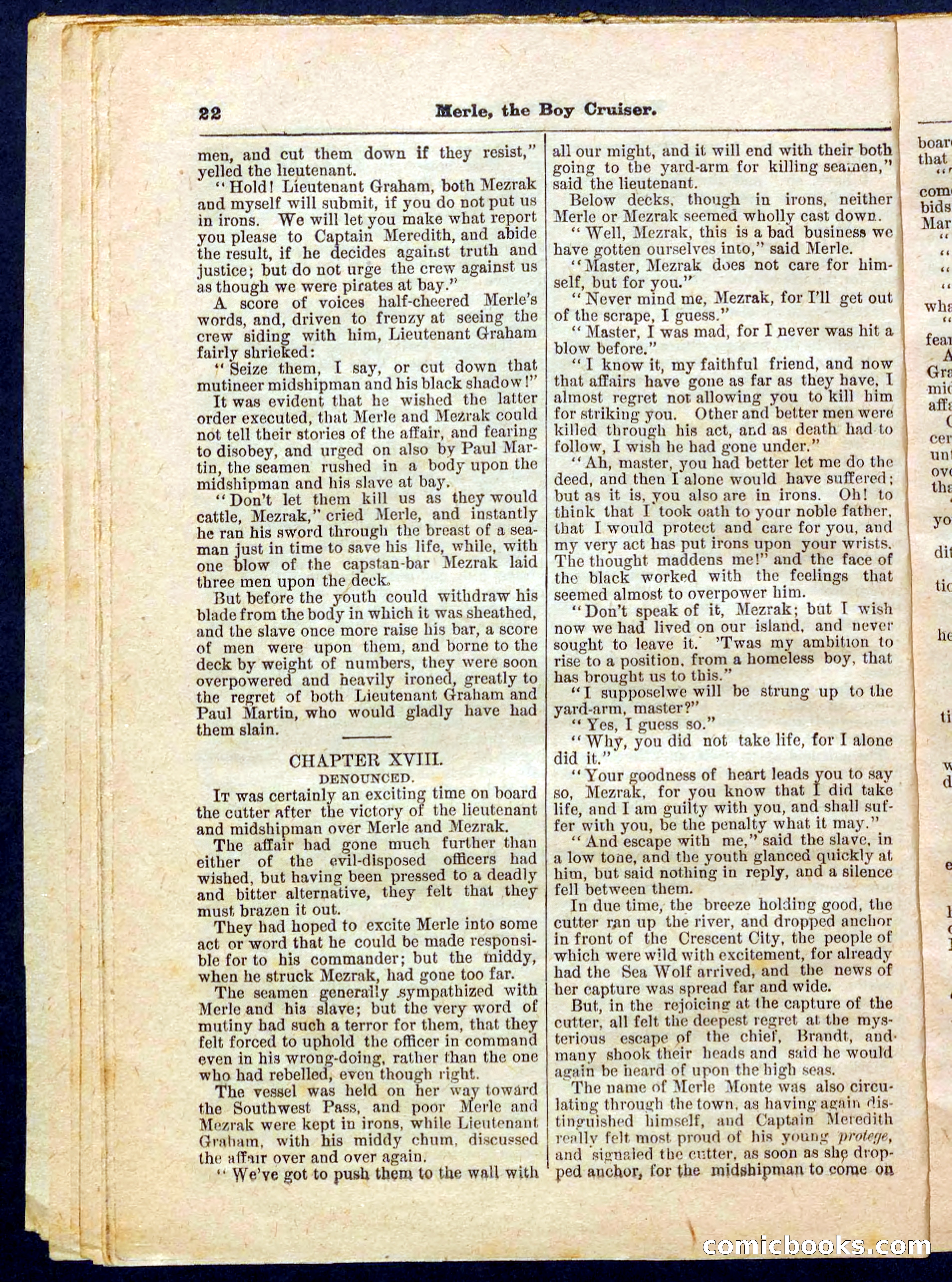 Beadle's Pocket Library No. 227 — page 22 of 32