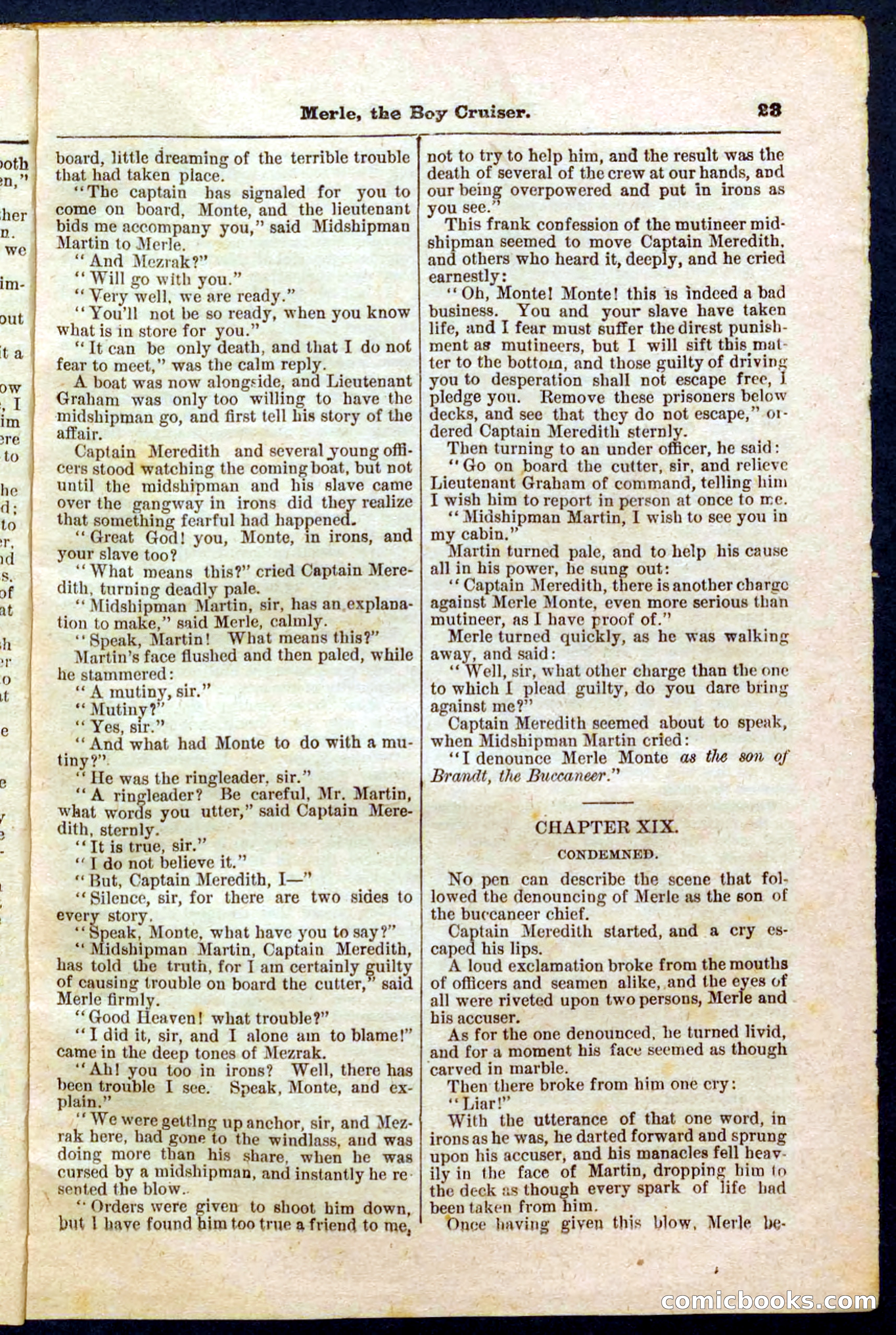 Beadle's Pocket Library No. 227 — page 23 of 32