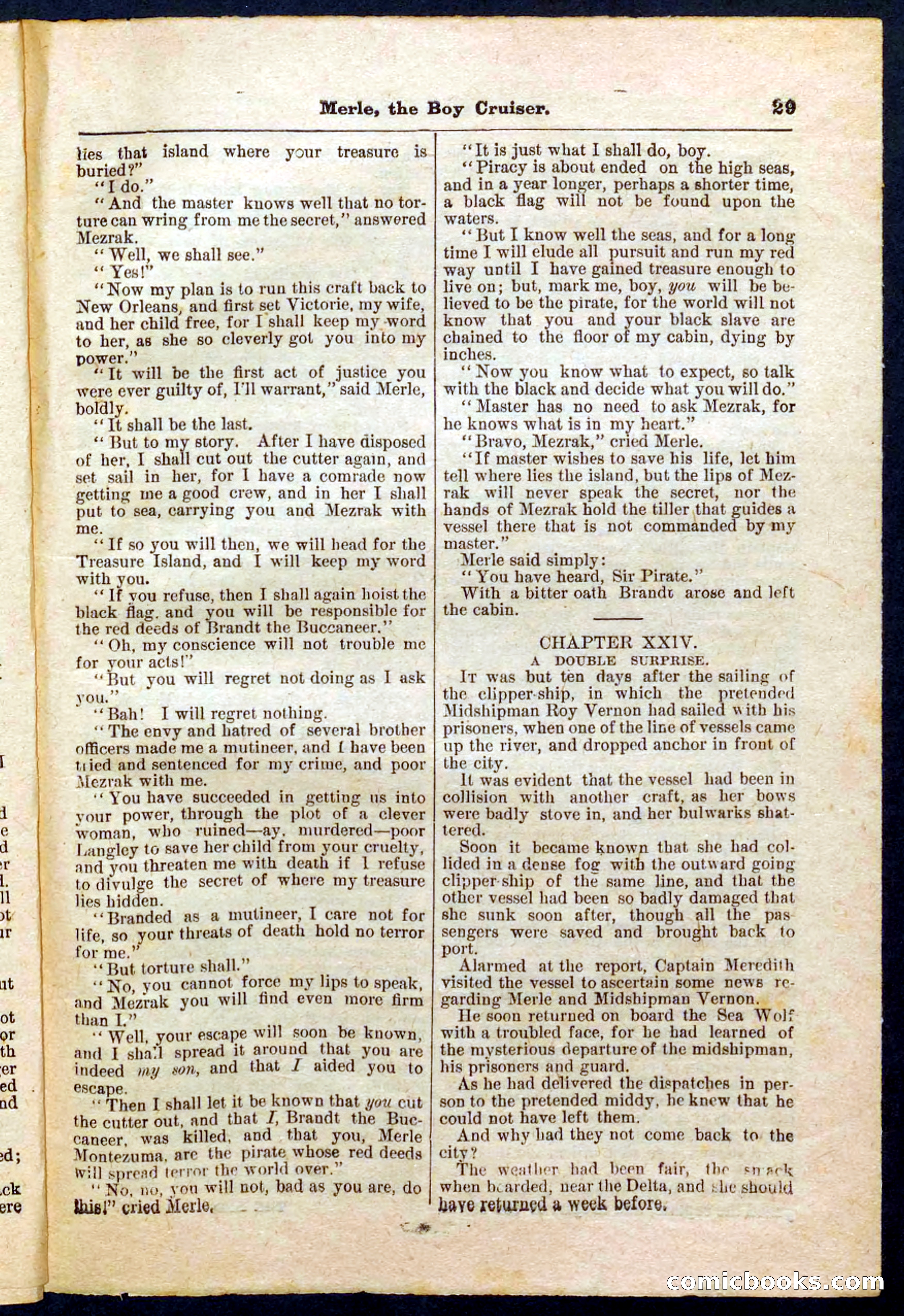 Beadle's Pocket Library No. 227 — page 29 of 32