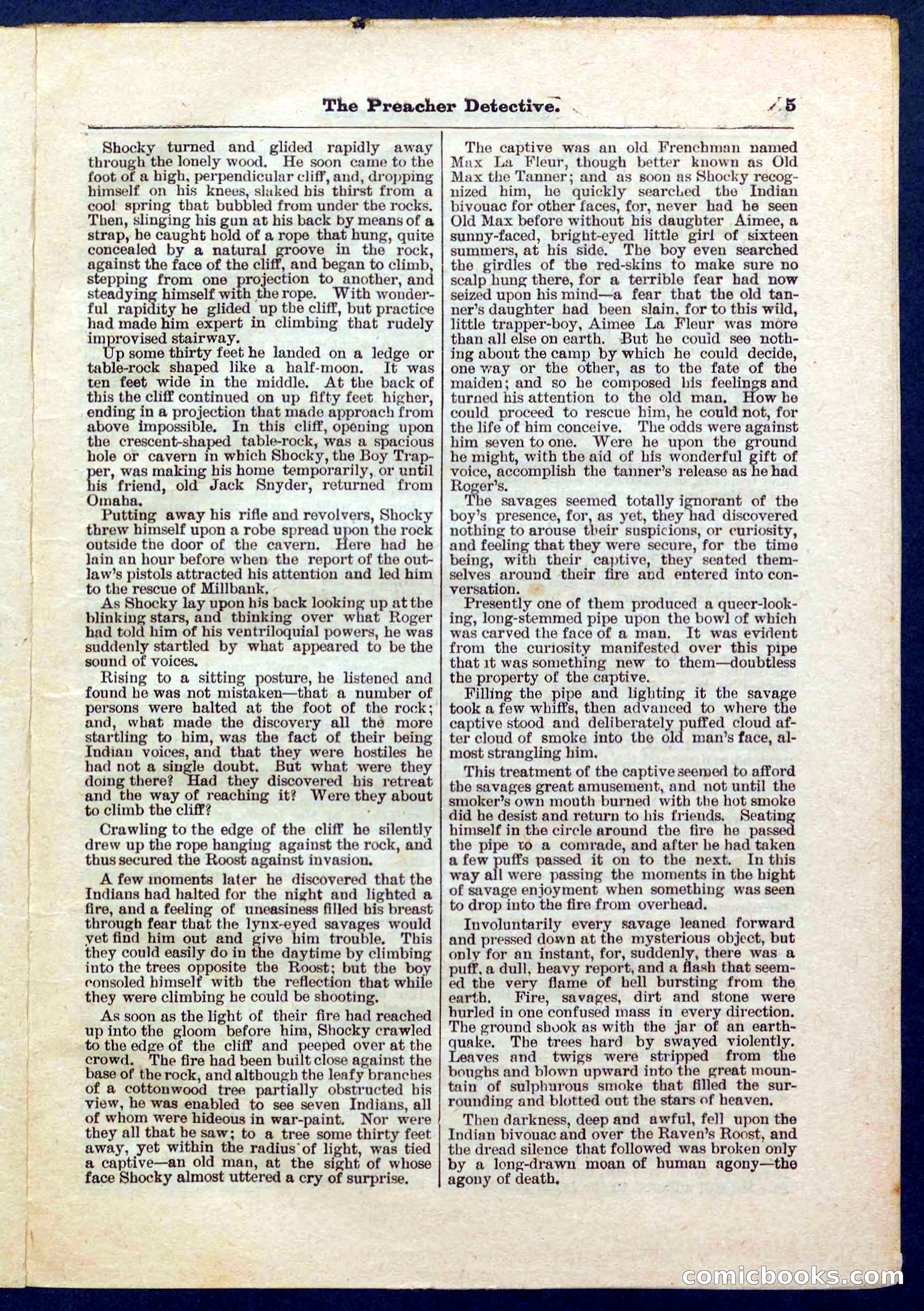 Beadle's Pocket Library No. 228 — page 5 of 32