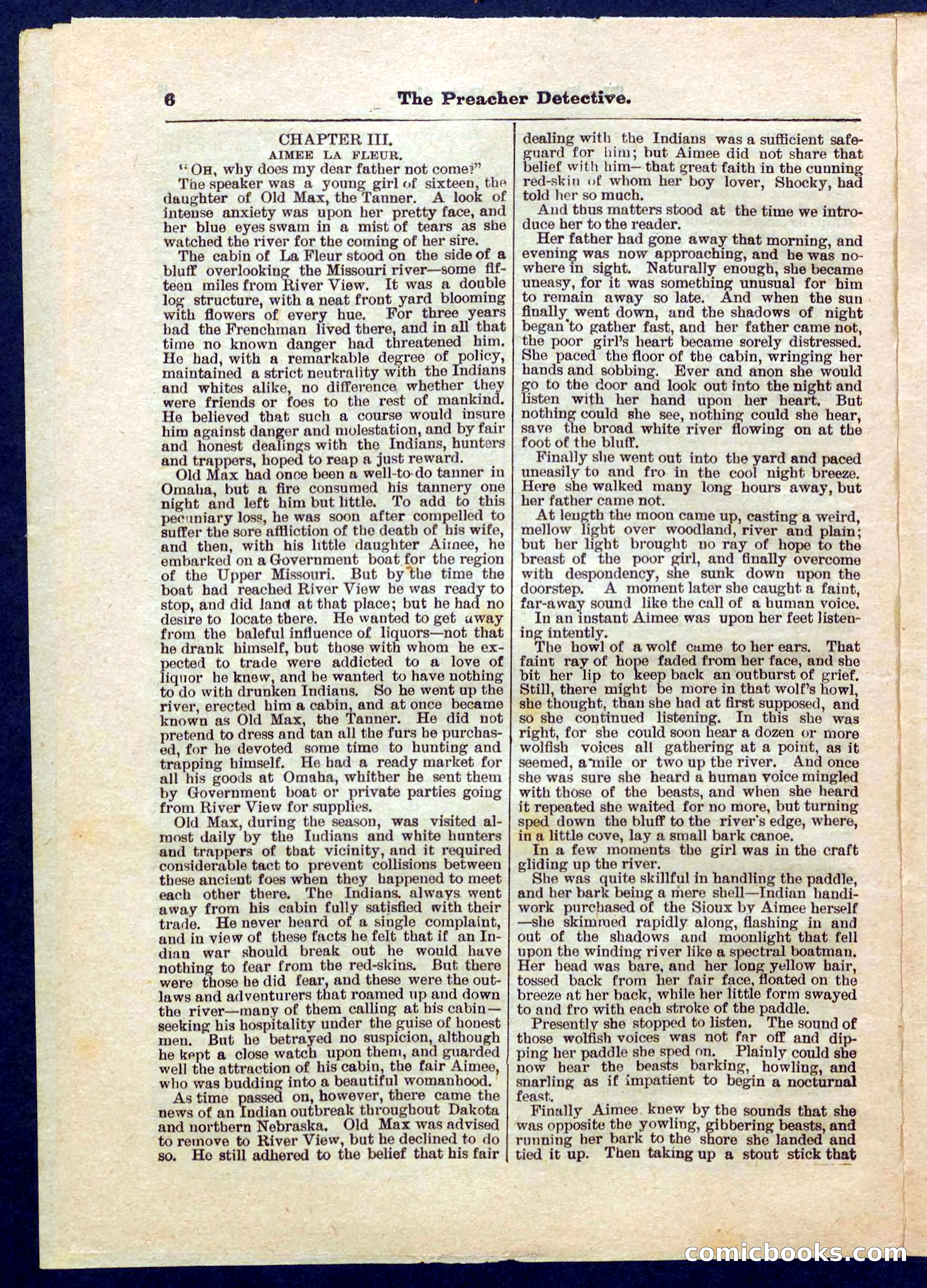Beadle's Pocket Library No. 228 — page 6 of 32