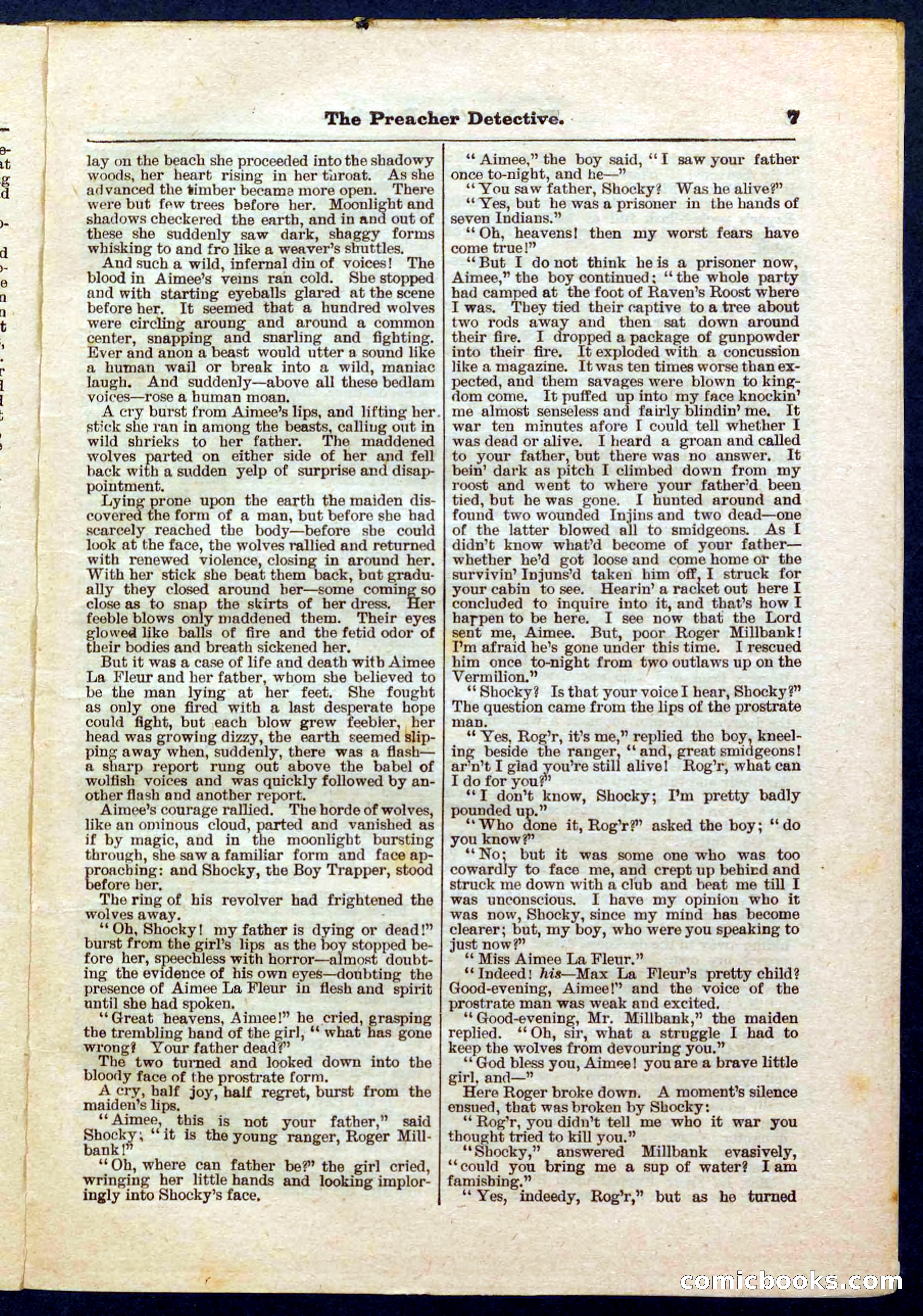 Beadle's Pocket Library No. 228 — page 7 of 32