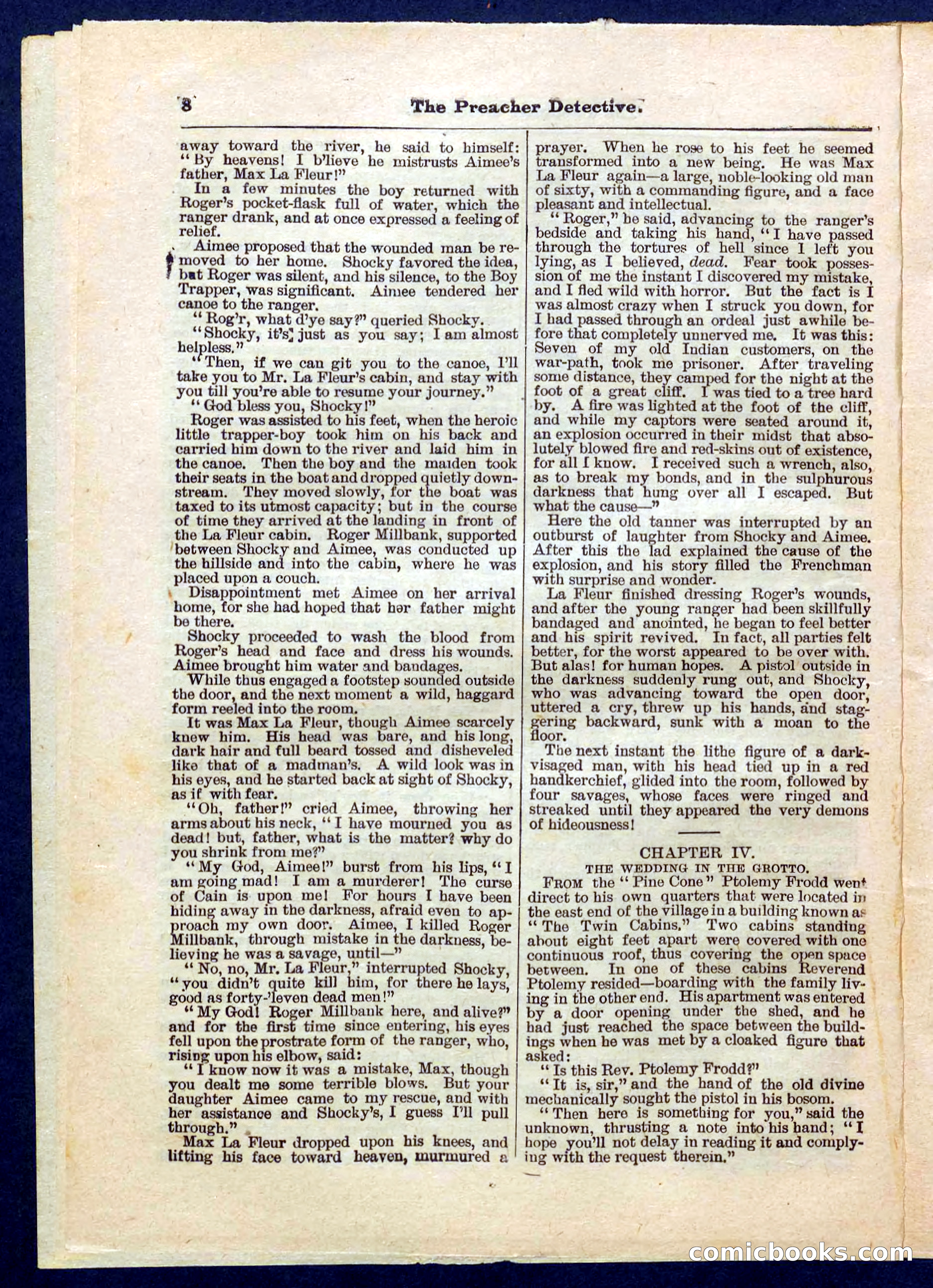 Beadle's Pocket Library No. 228 — page 8 of 32