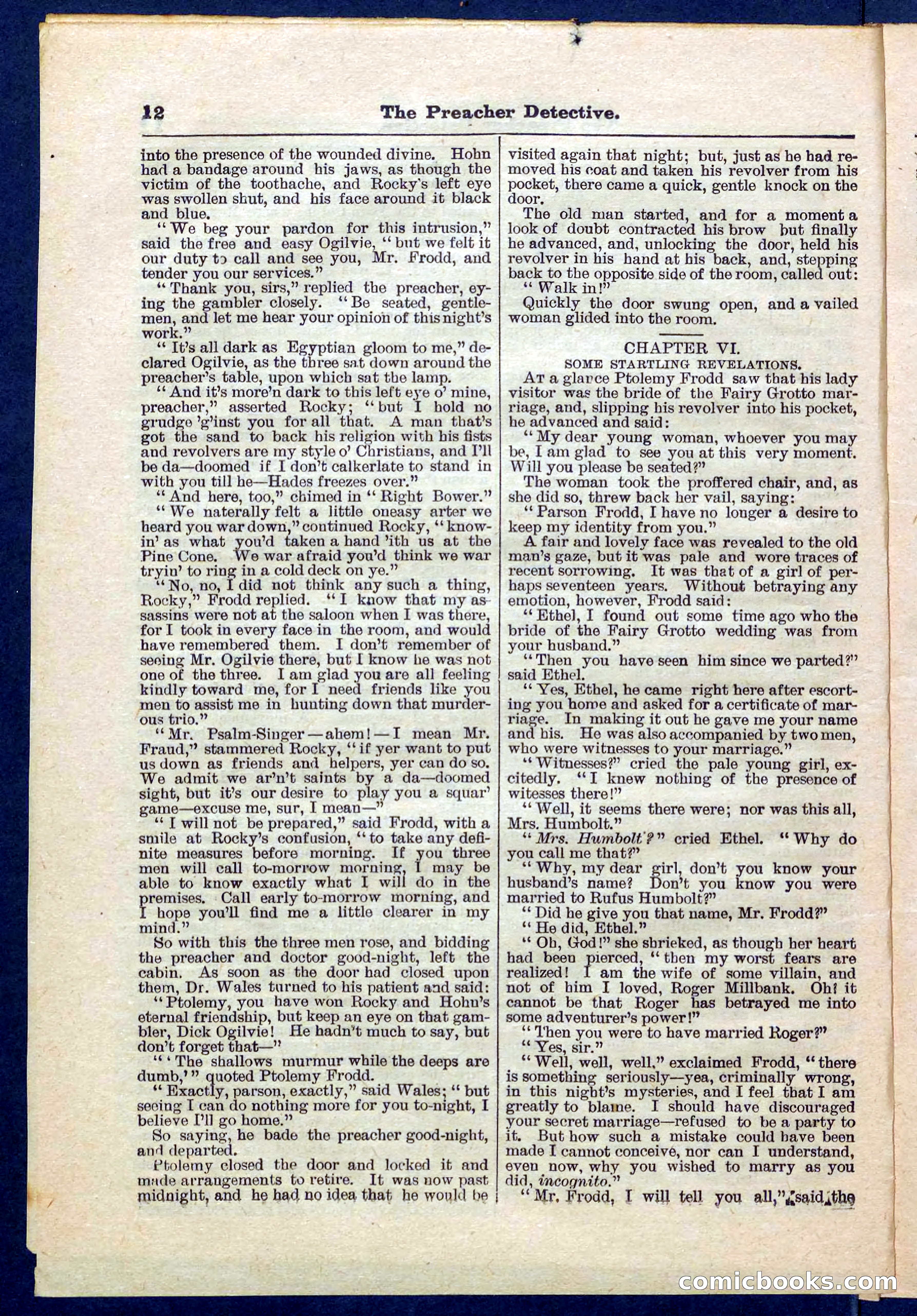 Beadle's Pocket Library No. 228 — page 12 of 32