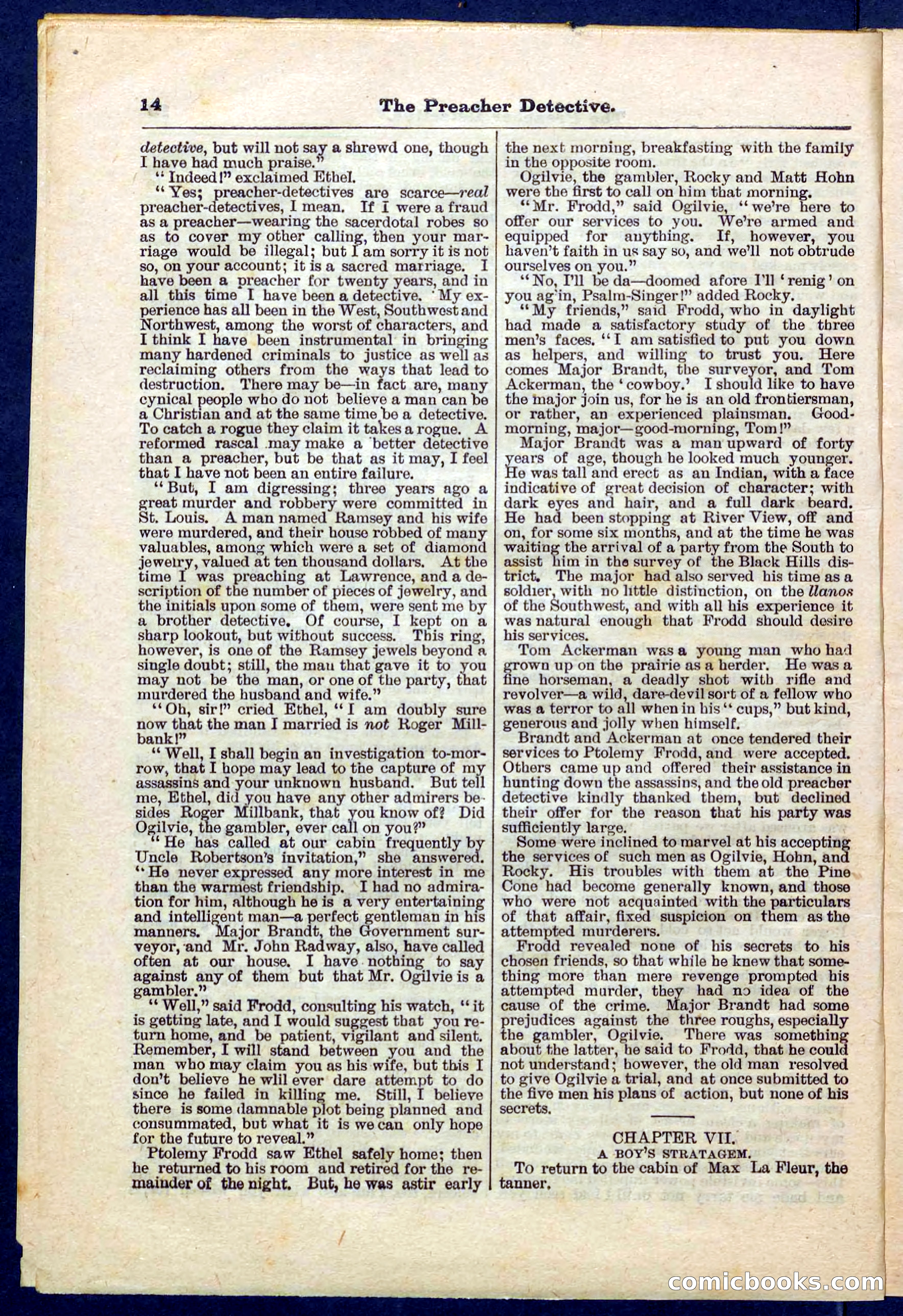 Beadle's Pocket Library No. 228 — page 14 of 32