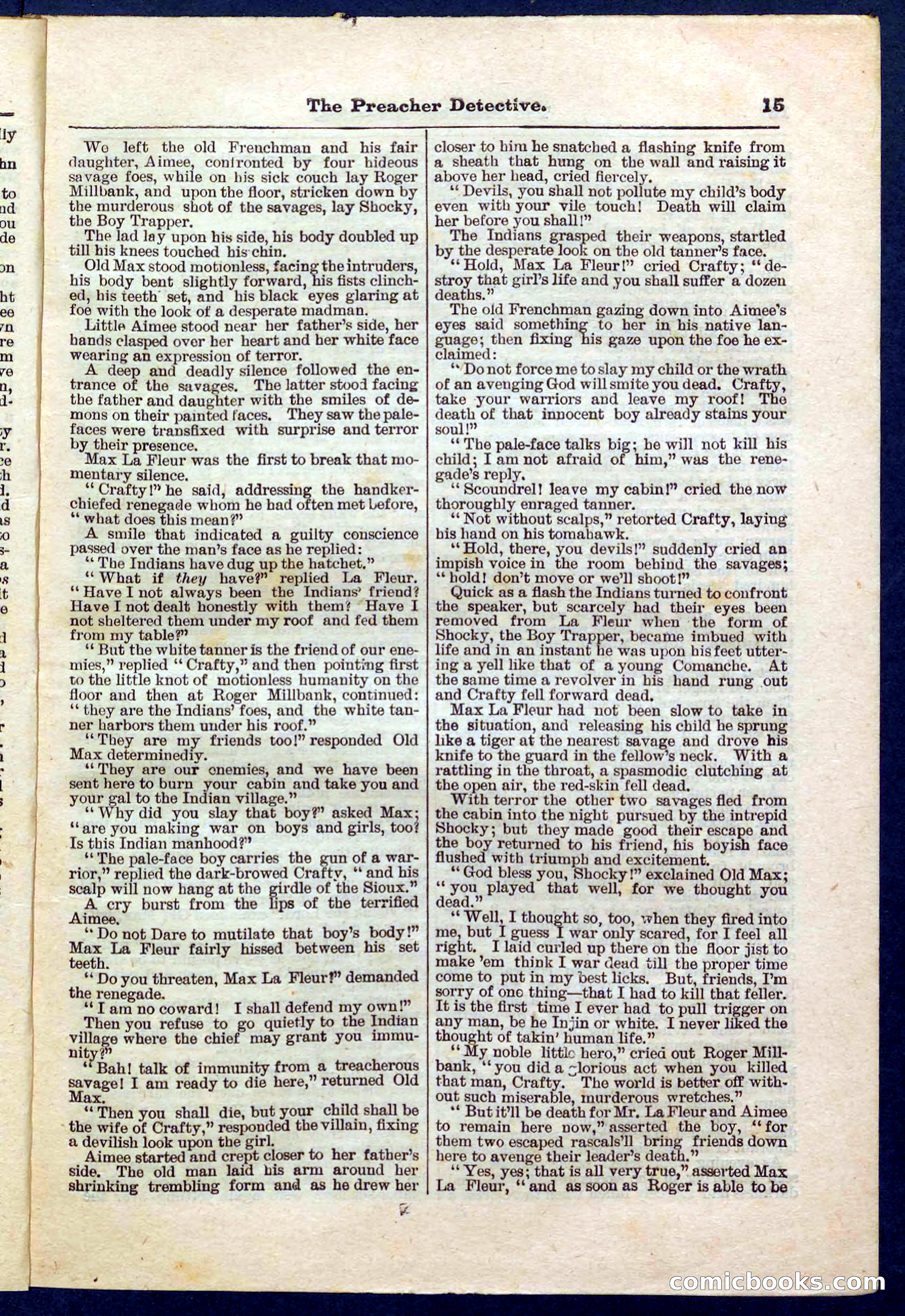 Beadle's Pocket Library No. 228 — page 15 of 32