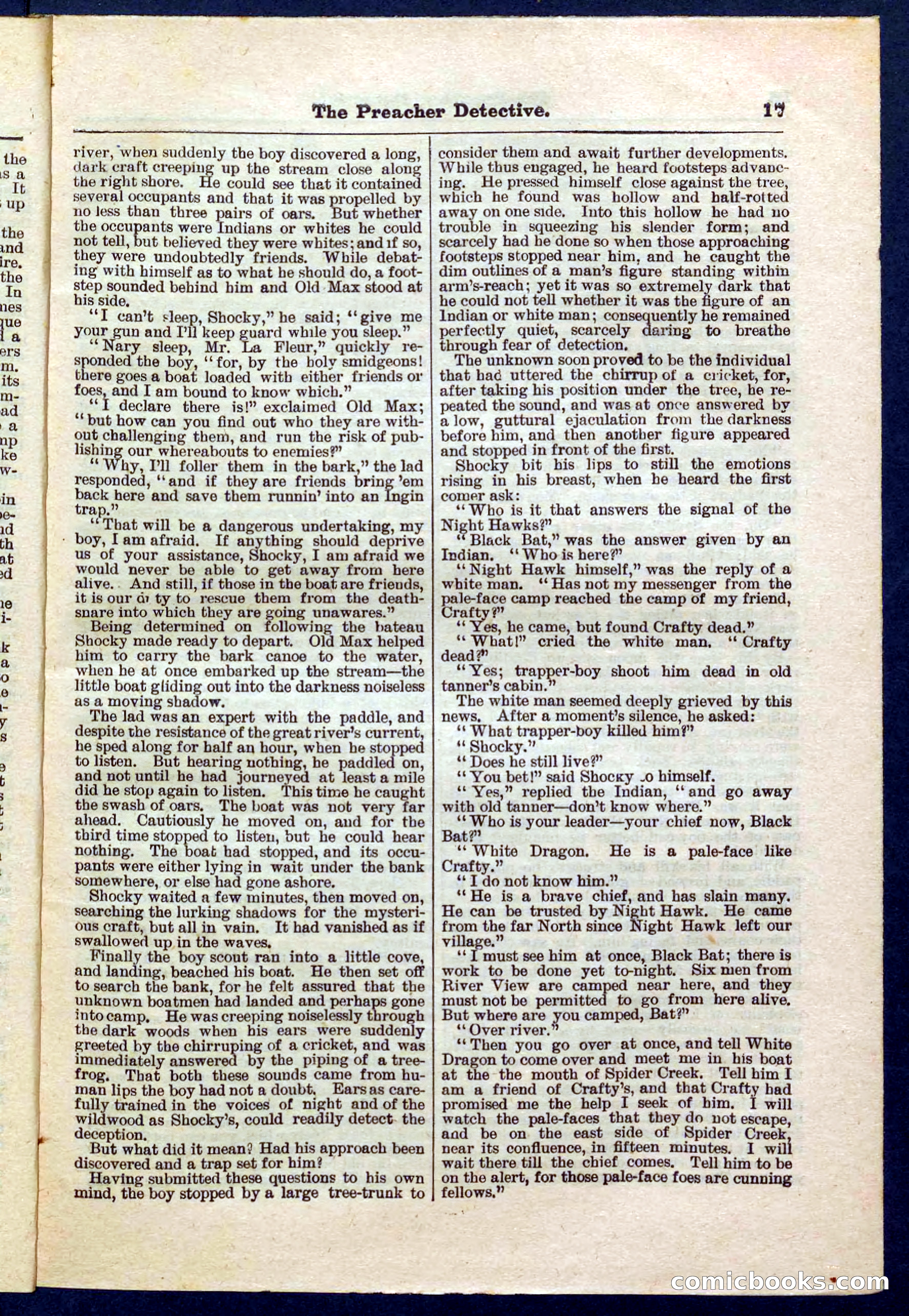 Beadle's Pocket Library No. 228 — page 17 of 32