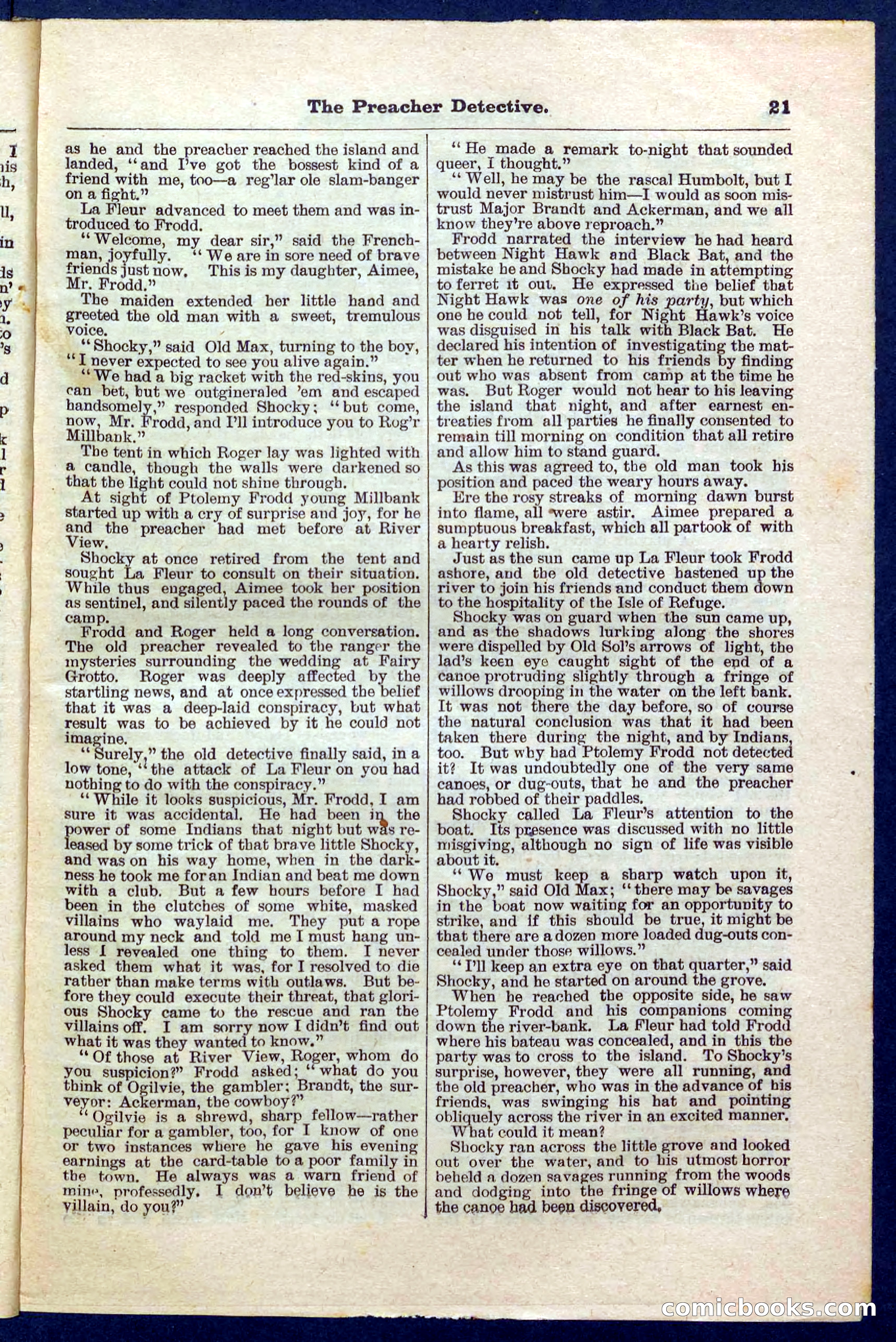 Beadle's Pocket Library No. 228 — page 21 of 32