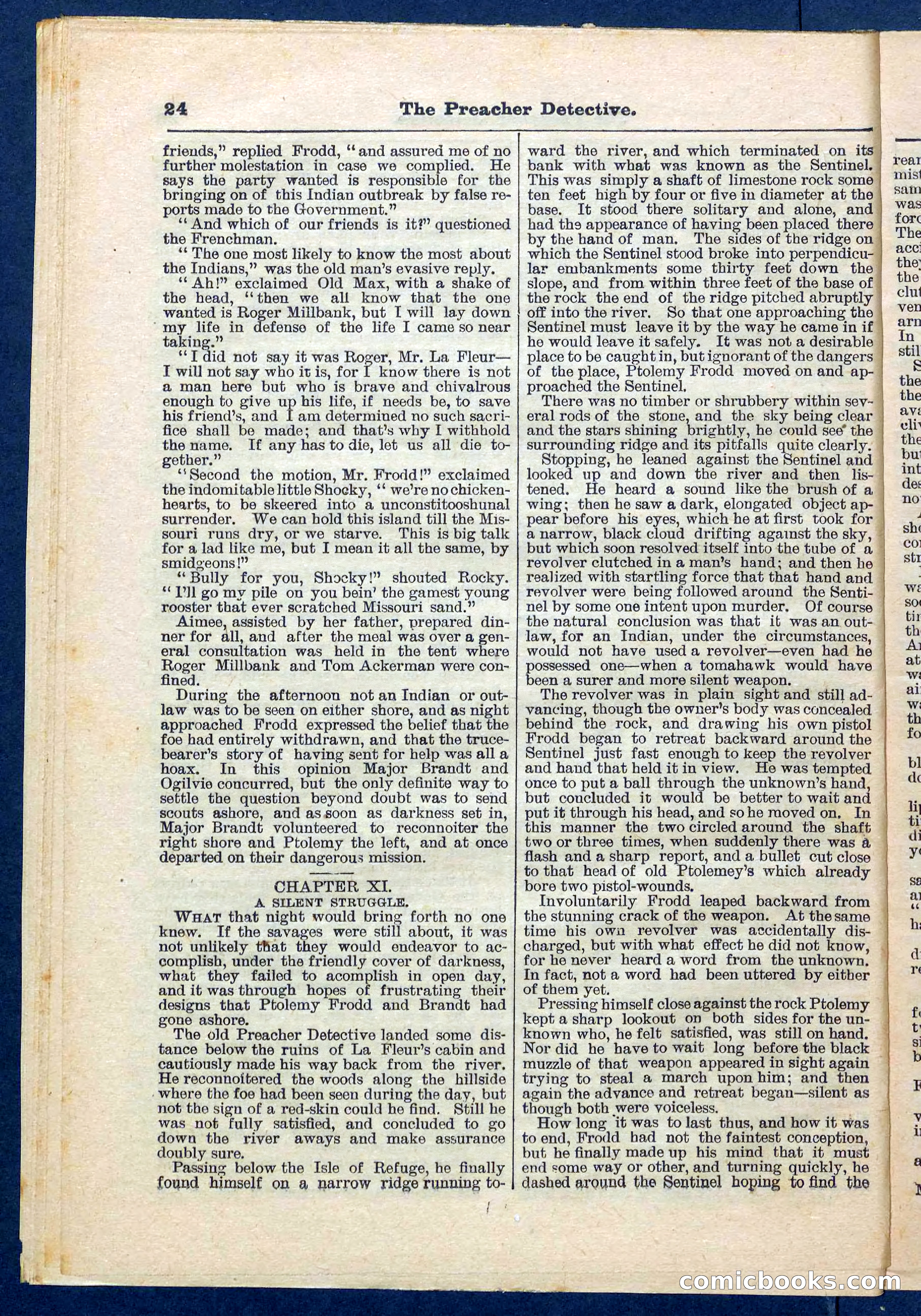 Beadle's Pocket Library No. 228 — page 24 of 32