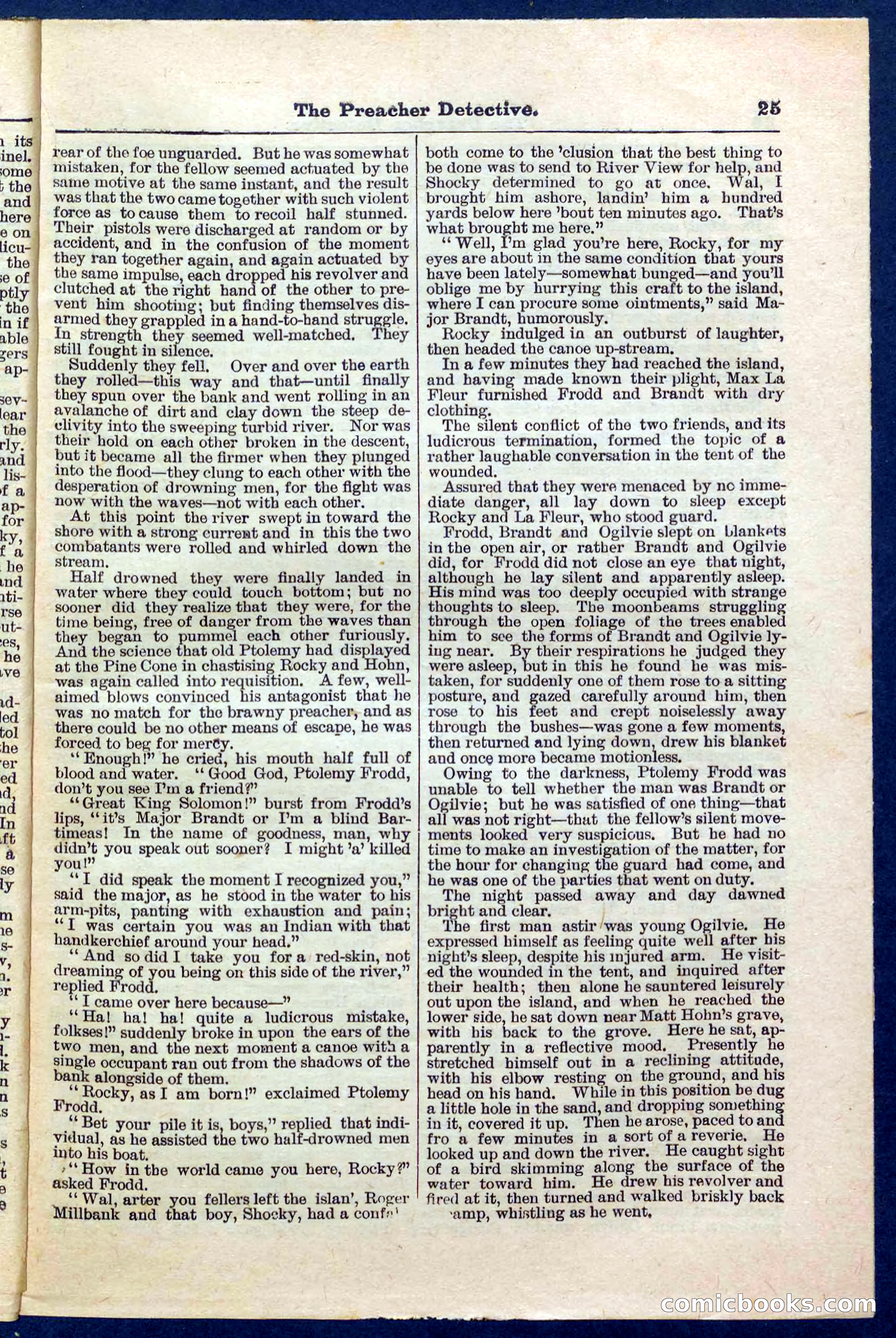 Beadle's Pocket Library No. 228 — page 25 of 32