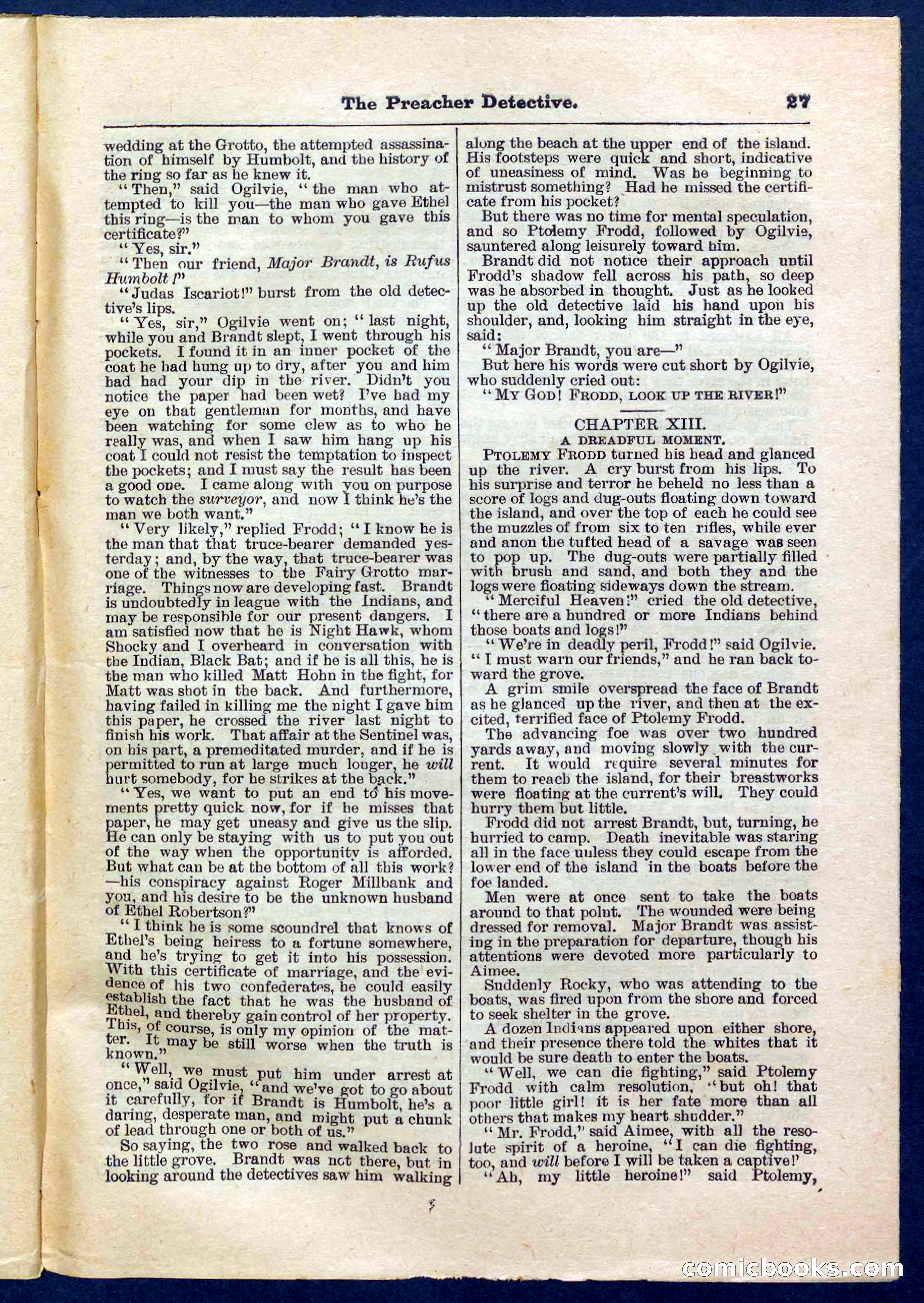 Beadle's Pocket Library No. 228 — page 27 of 32