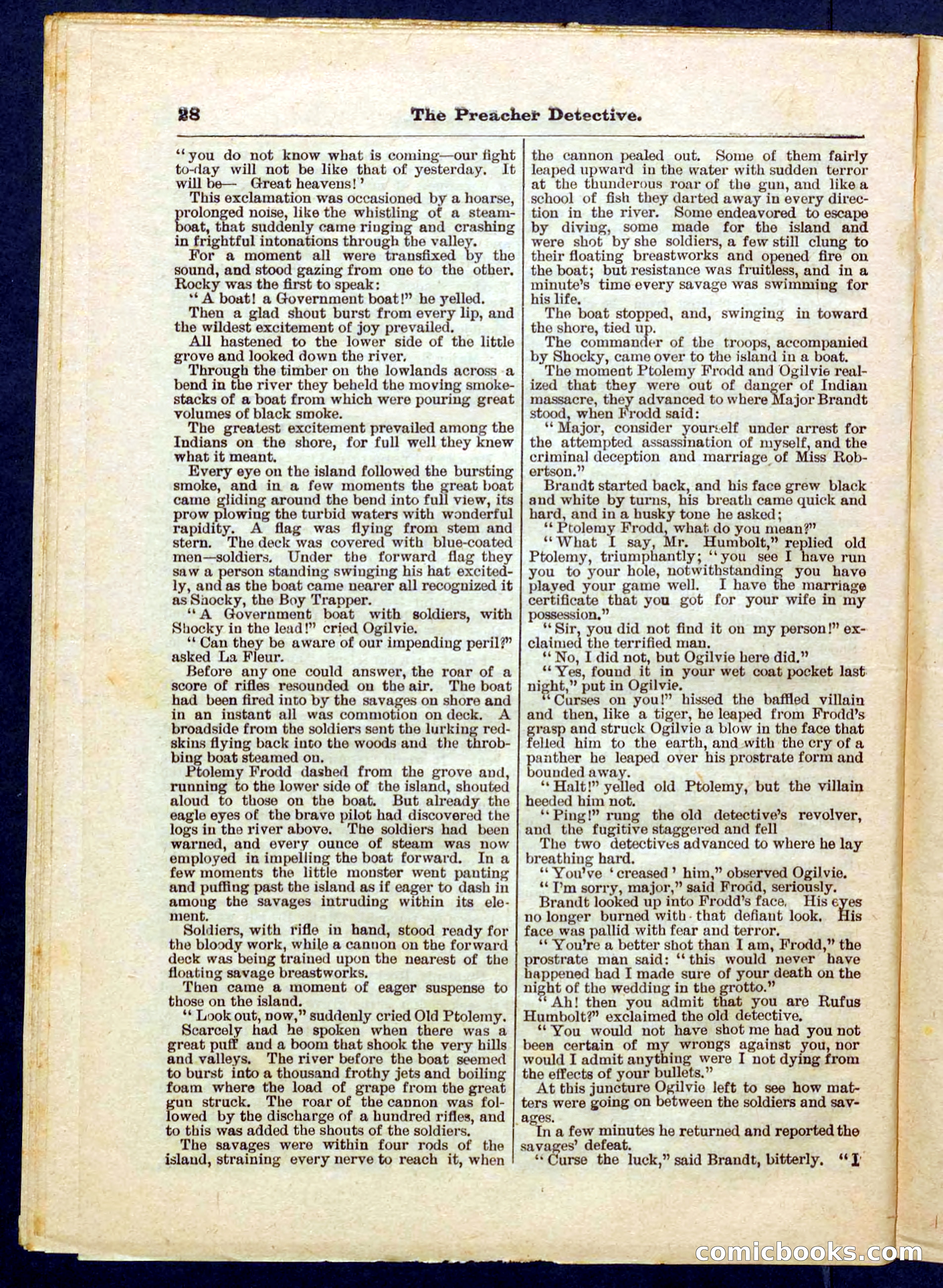 Beadle's Pocket Library No. 228 — page 28 of 32