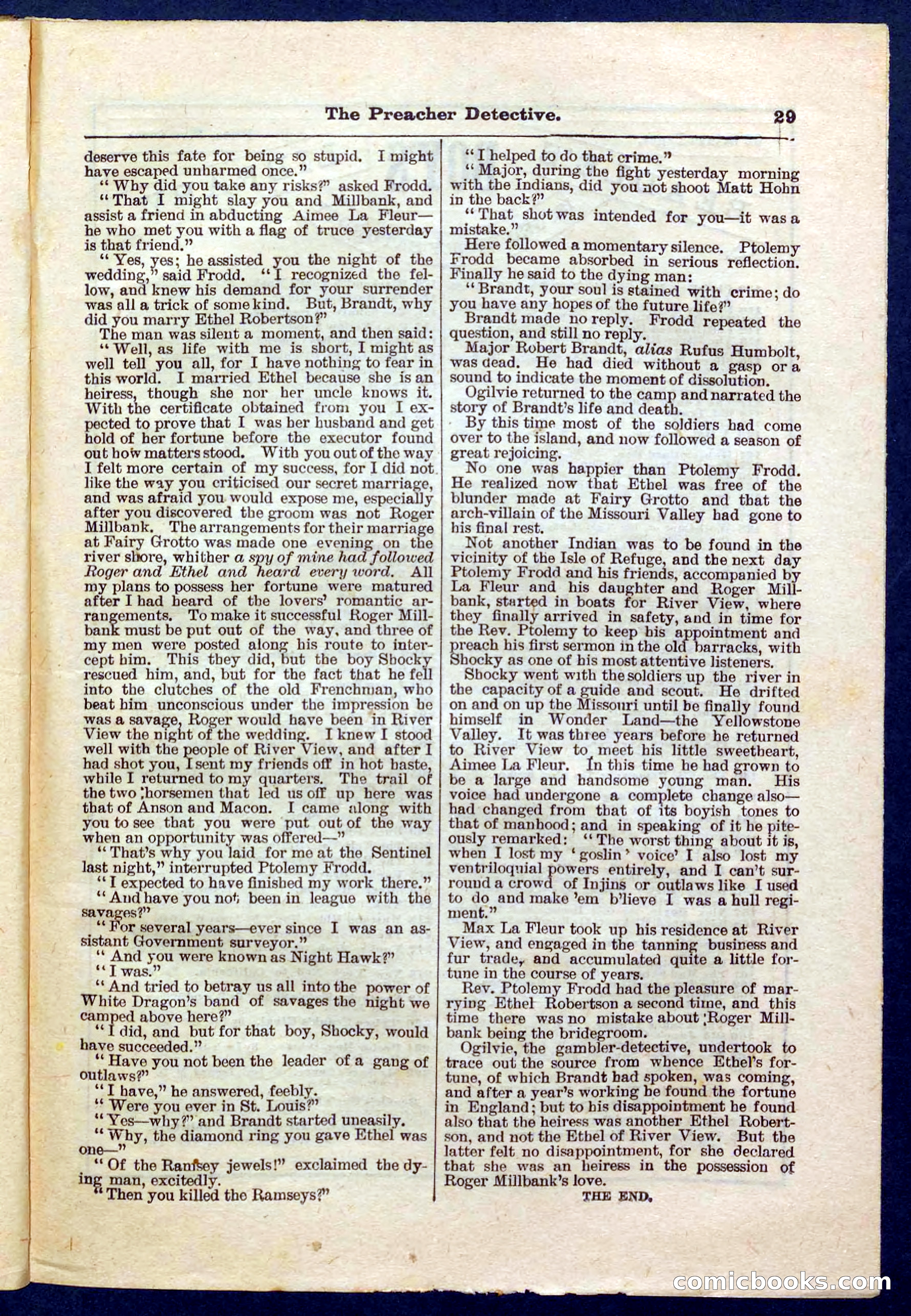 Beadle's Pocket Library No. 228 — page 29 of 32