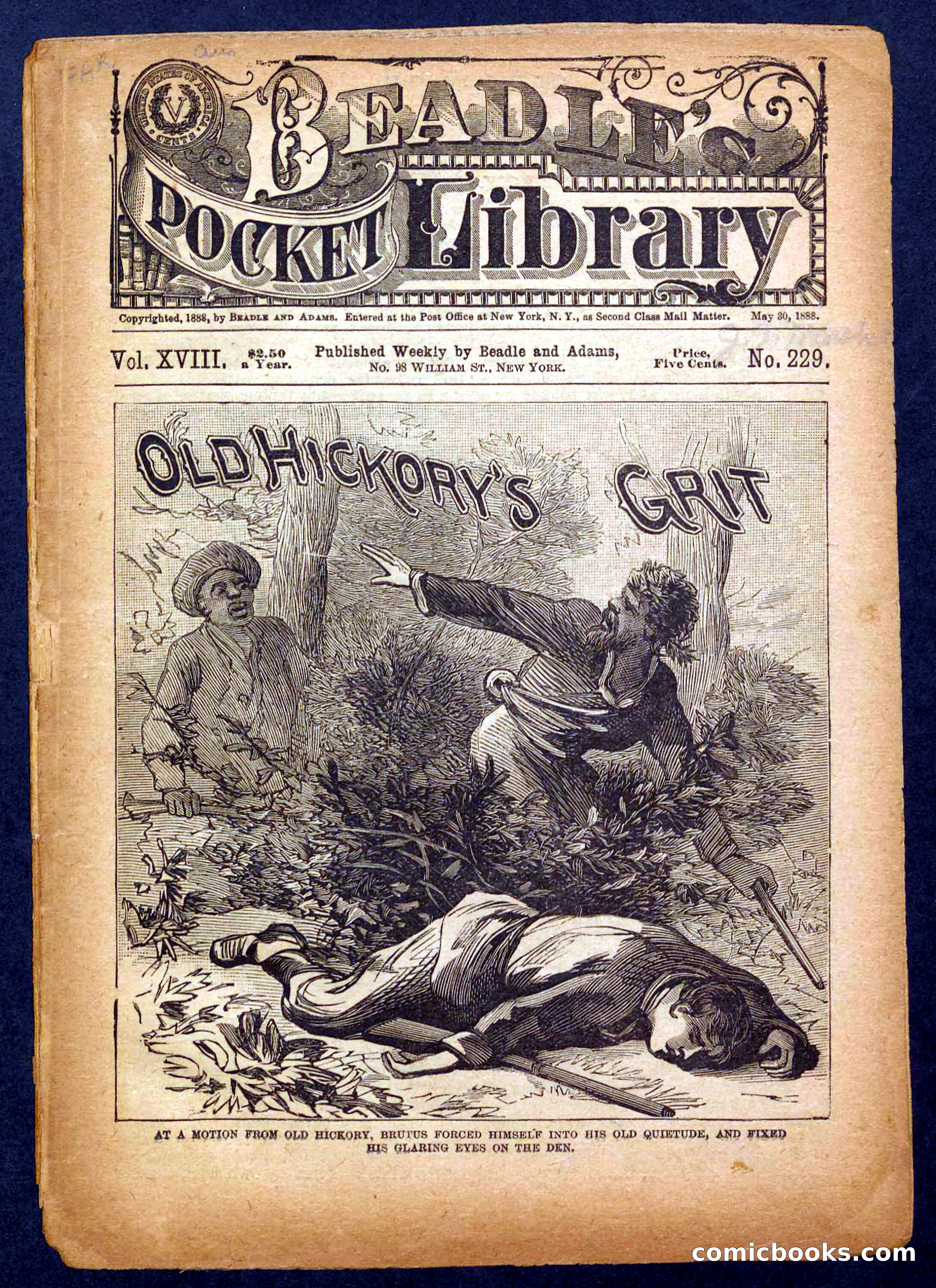 Beadle's Pocket Library No. 229 — page 1 of 32