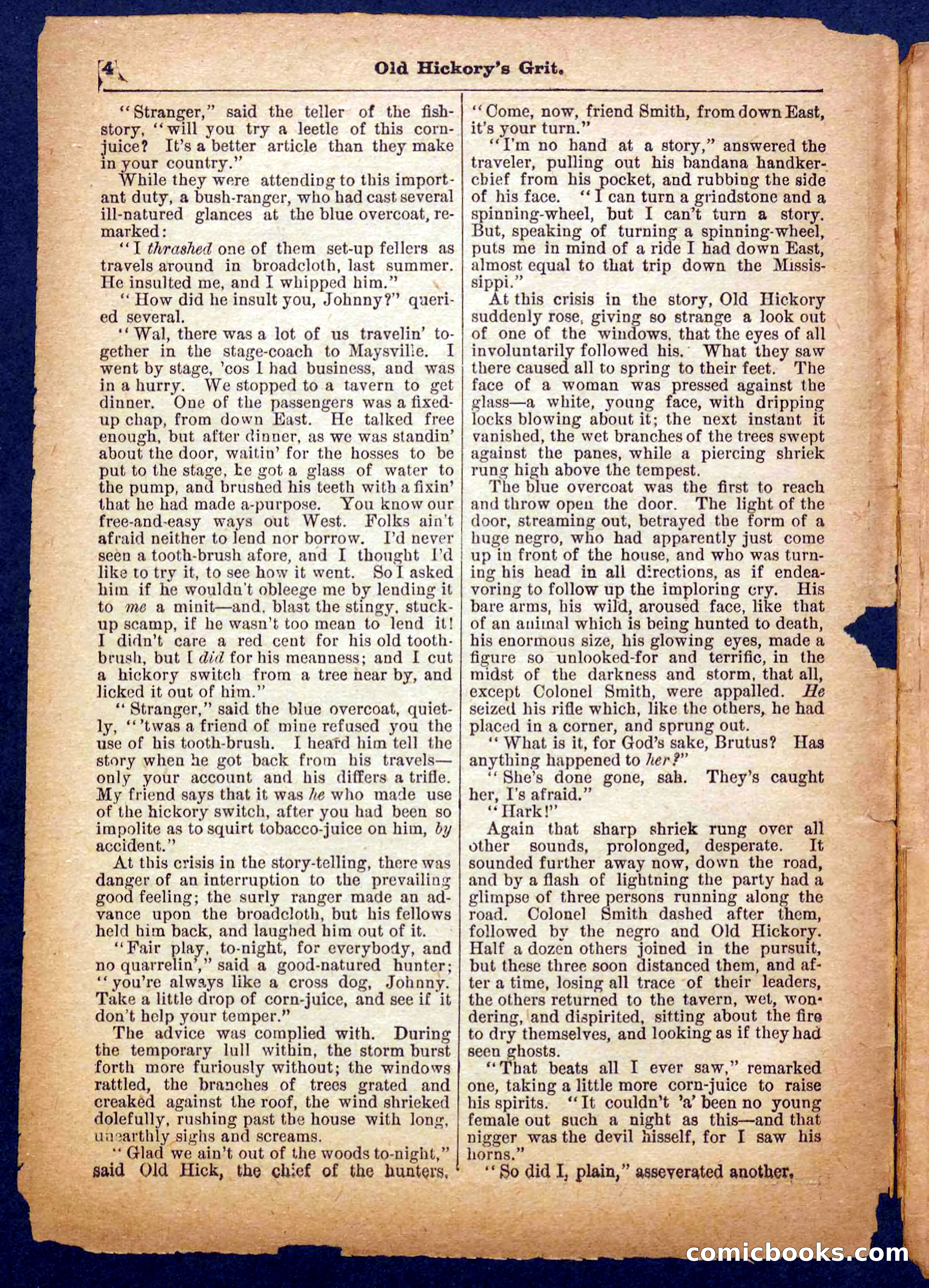 Beadle's Pocket Library No. 229 — page 4 of 32