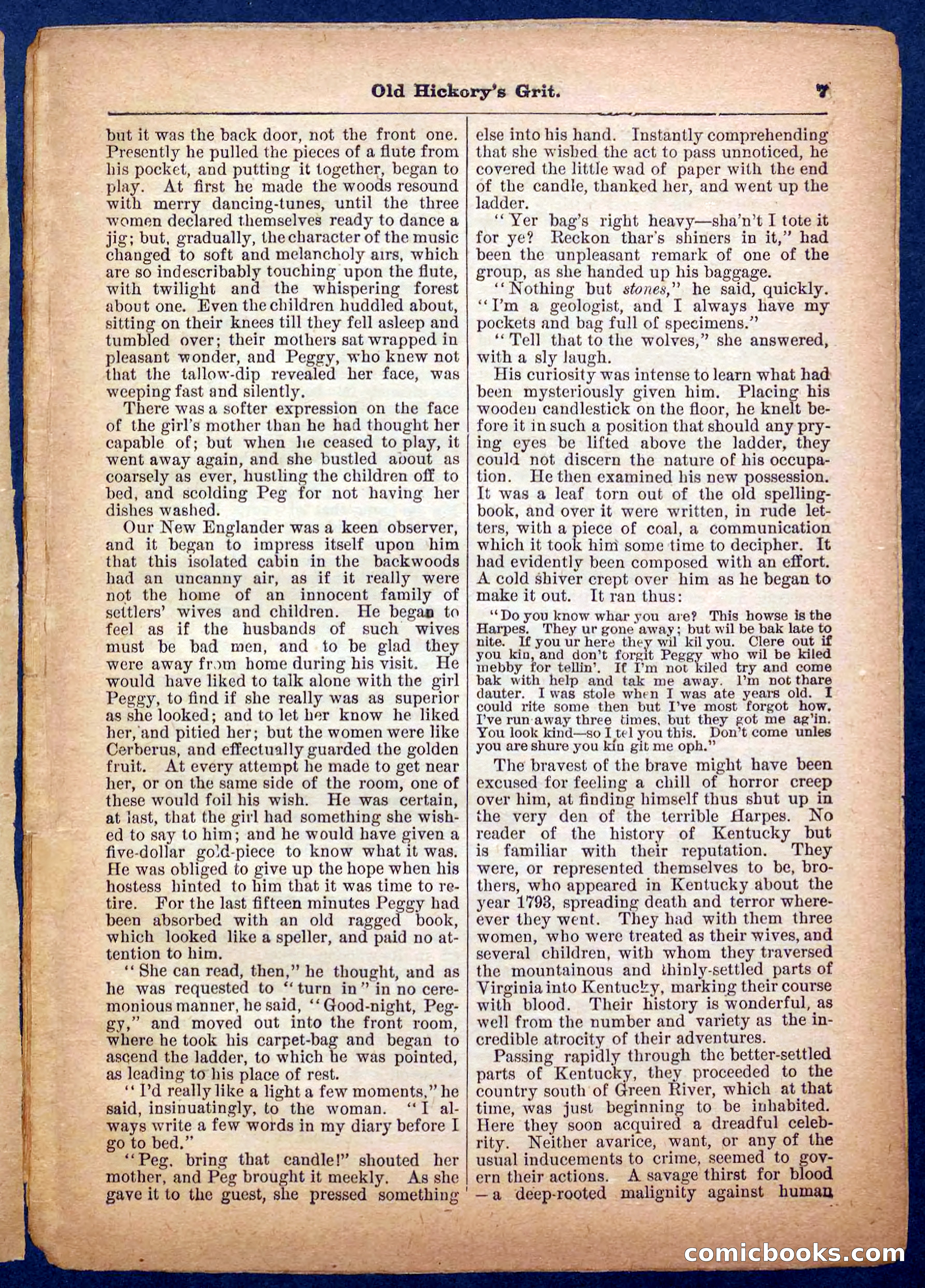 Beadle's Pocket Library No. 229 — page 7 of 32