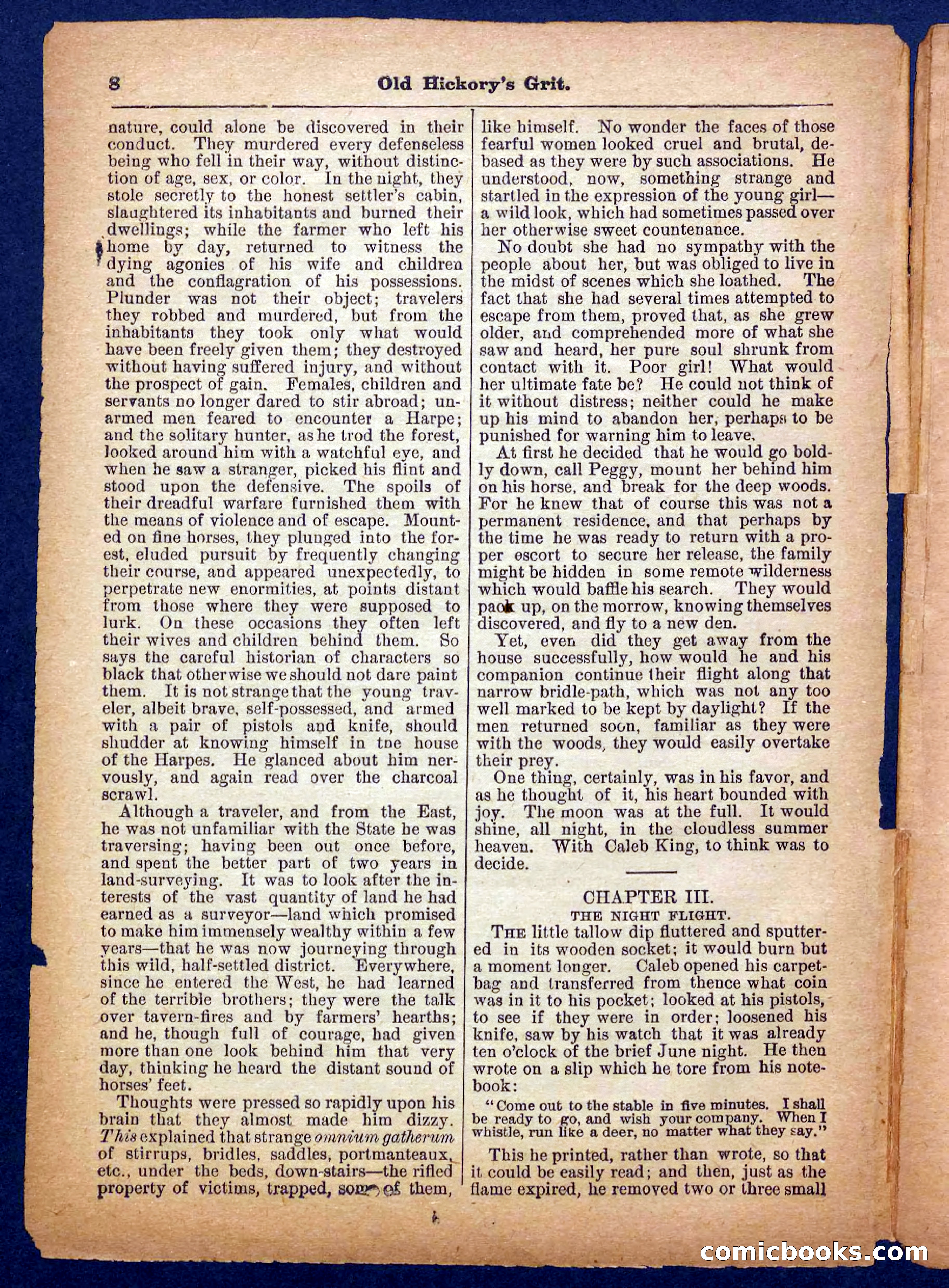Beadle's Pocket Library No. 229 — page 8 of 32