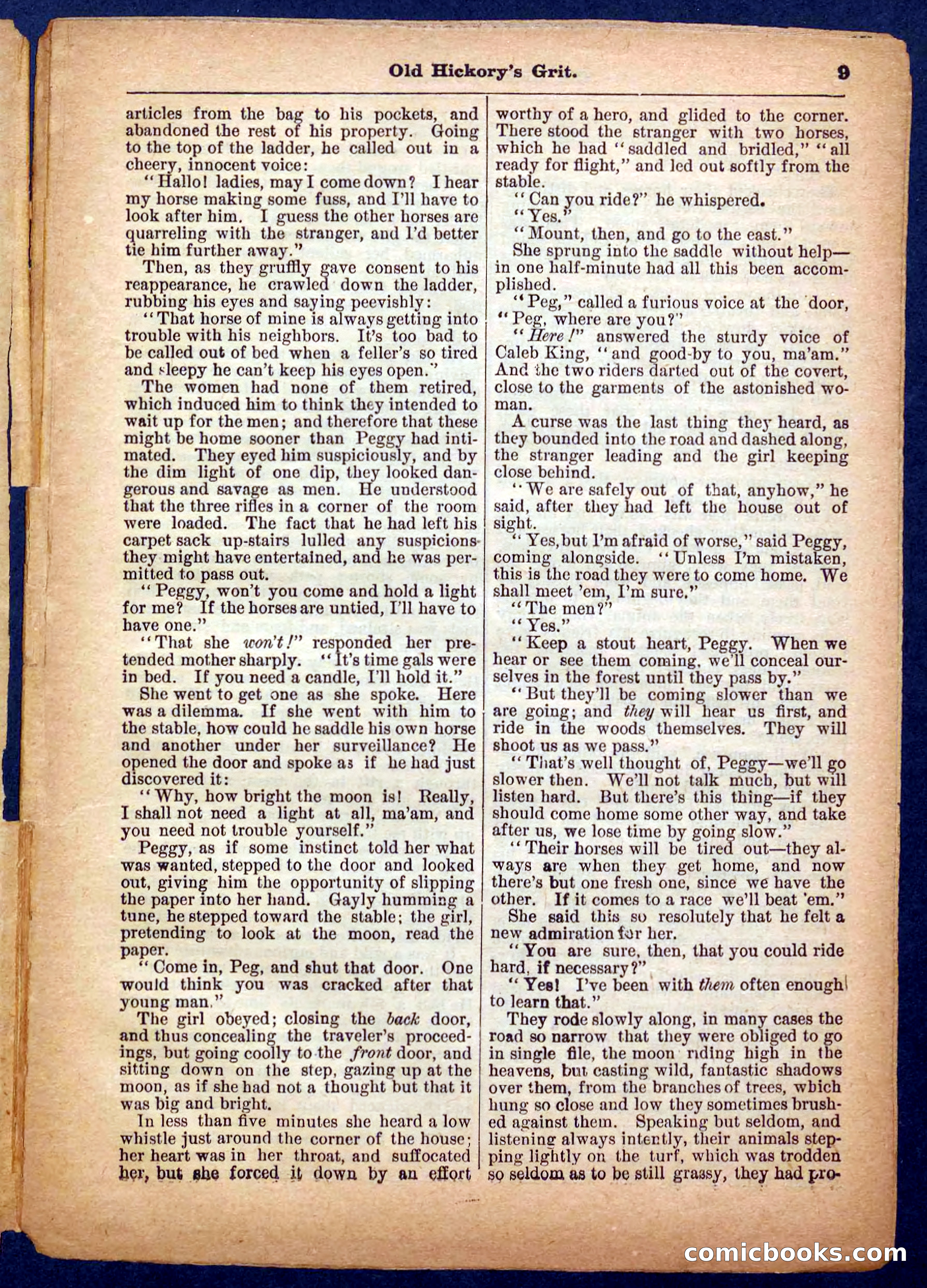 Beadle's Pocket Library No. 229 — page 9 of 32
