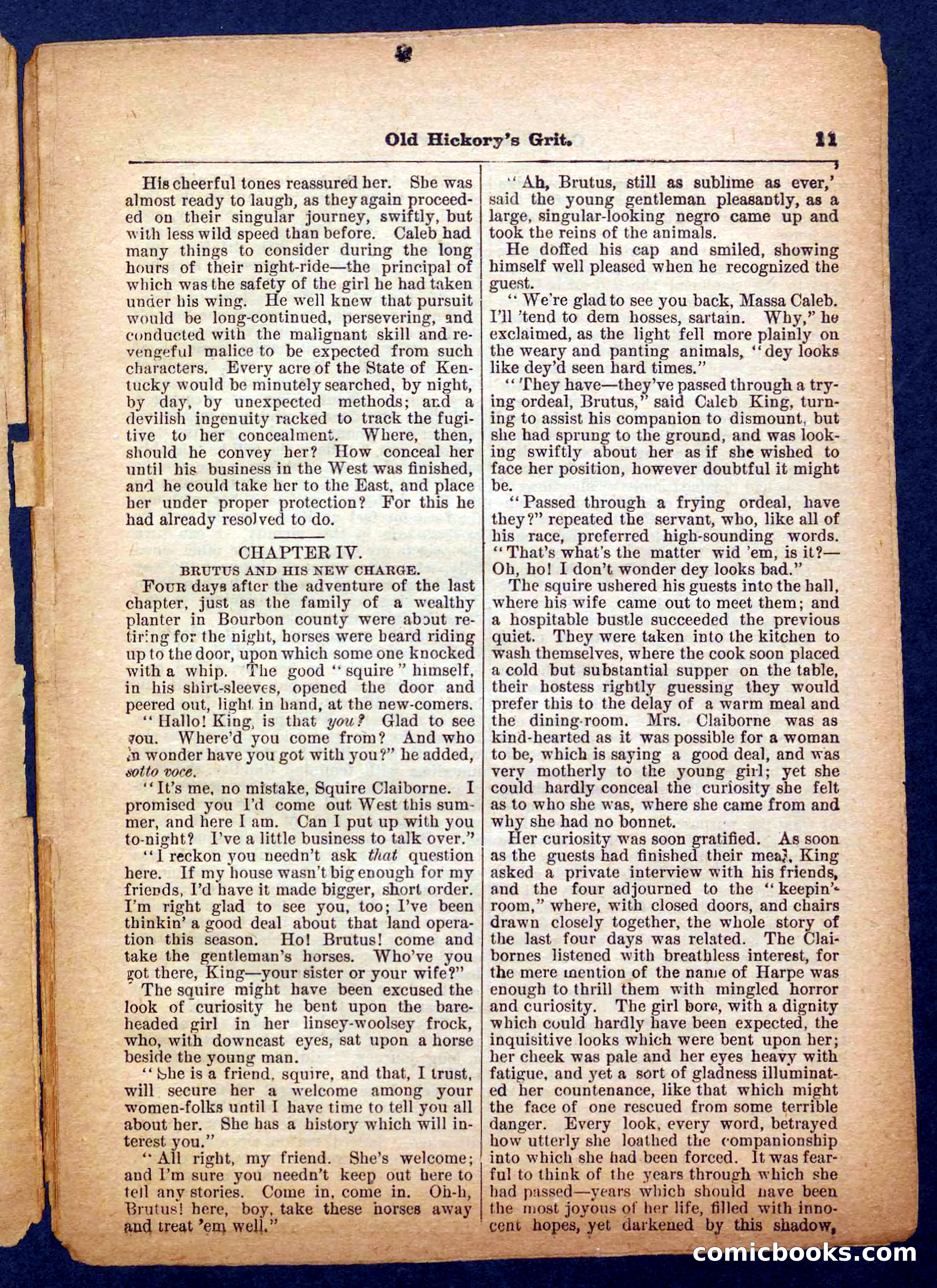 Beadle's Pocket Library No. 229 — page 11 of 32