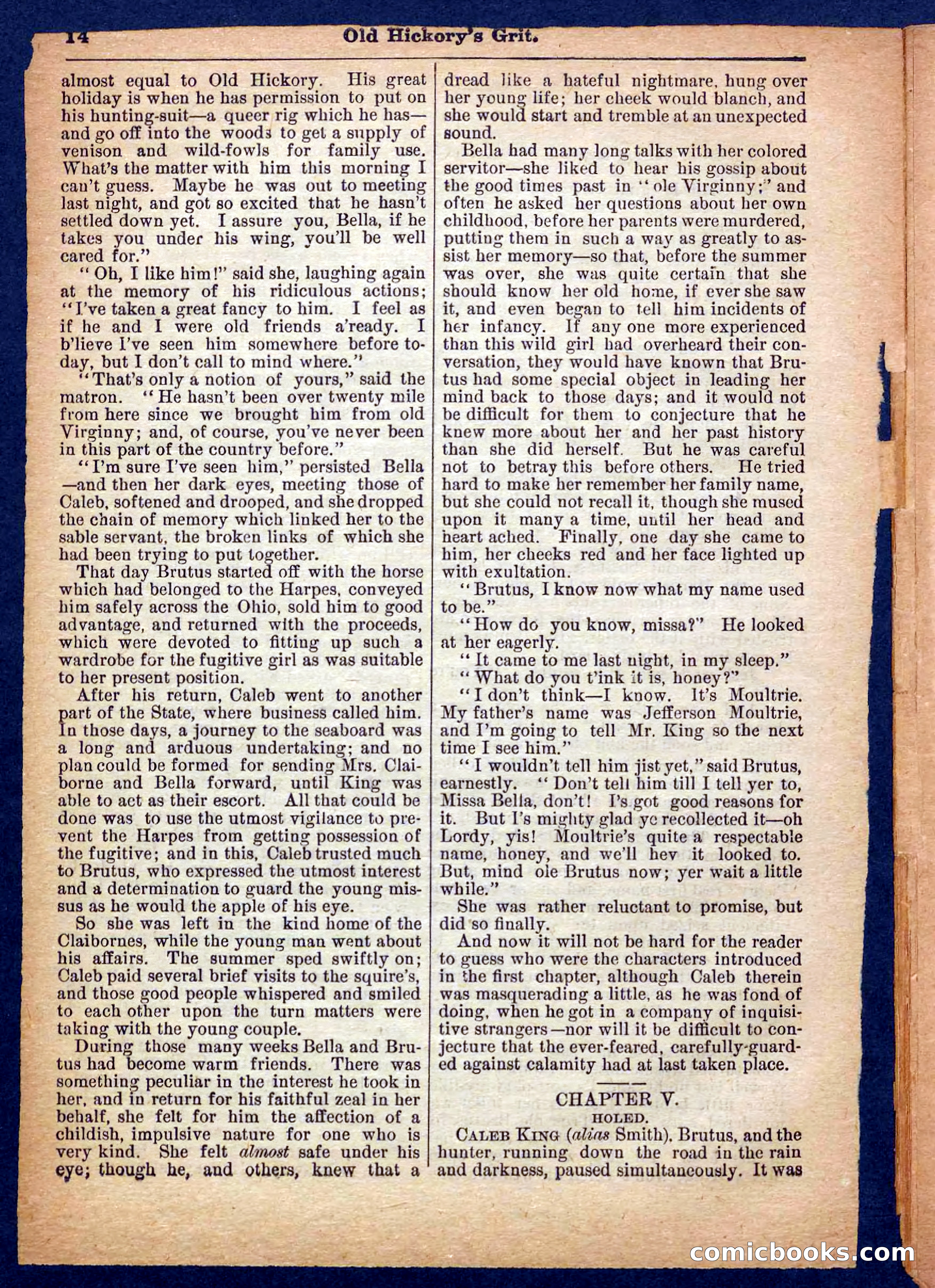 Beadle's Pocket Library No. 229 — page 14 of 32