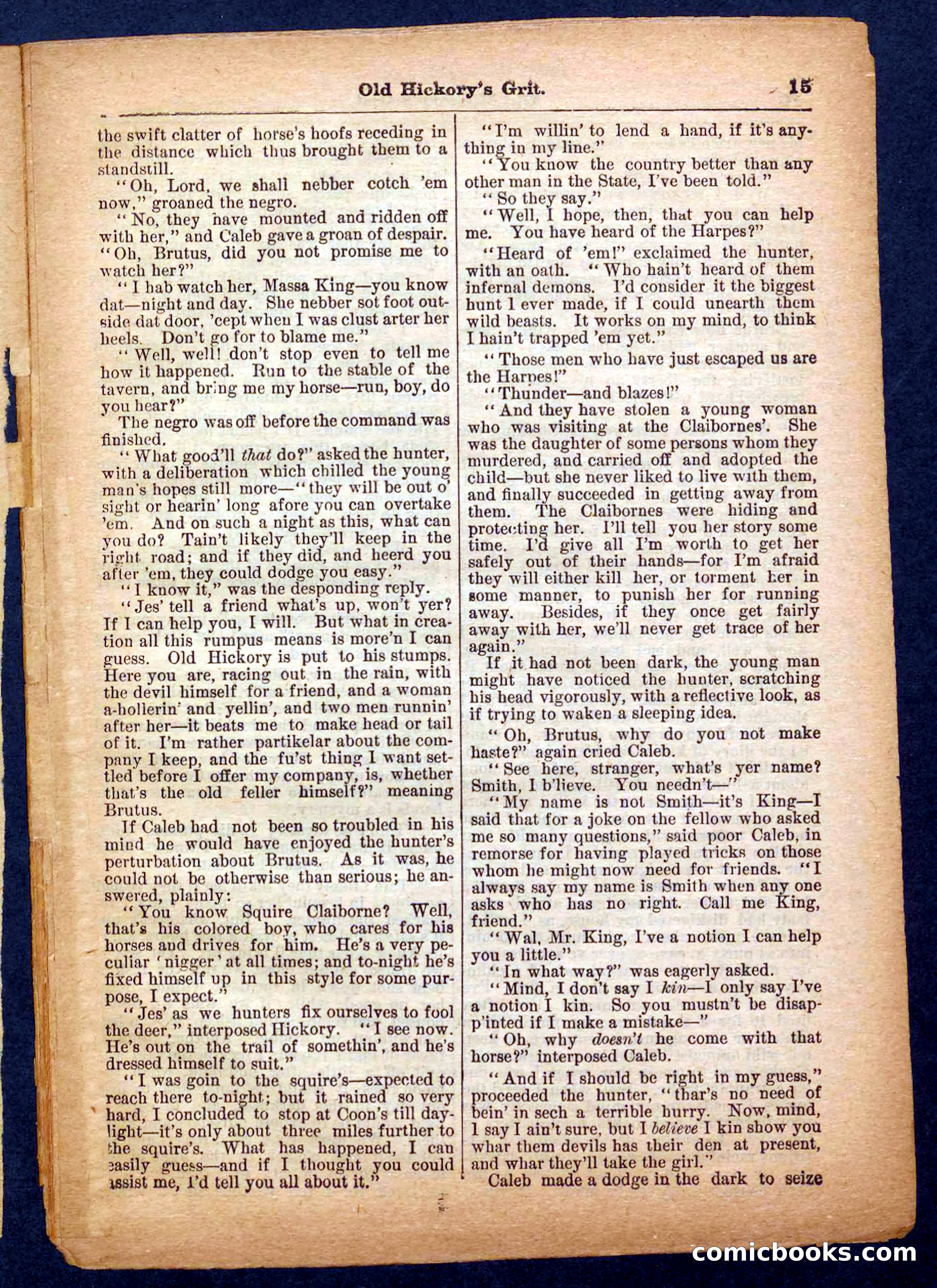 Beadle's Pocket Library No. 229 — page 15 of 32