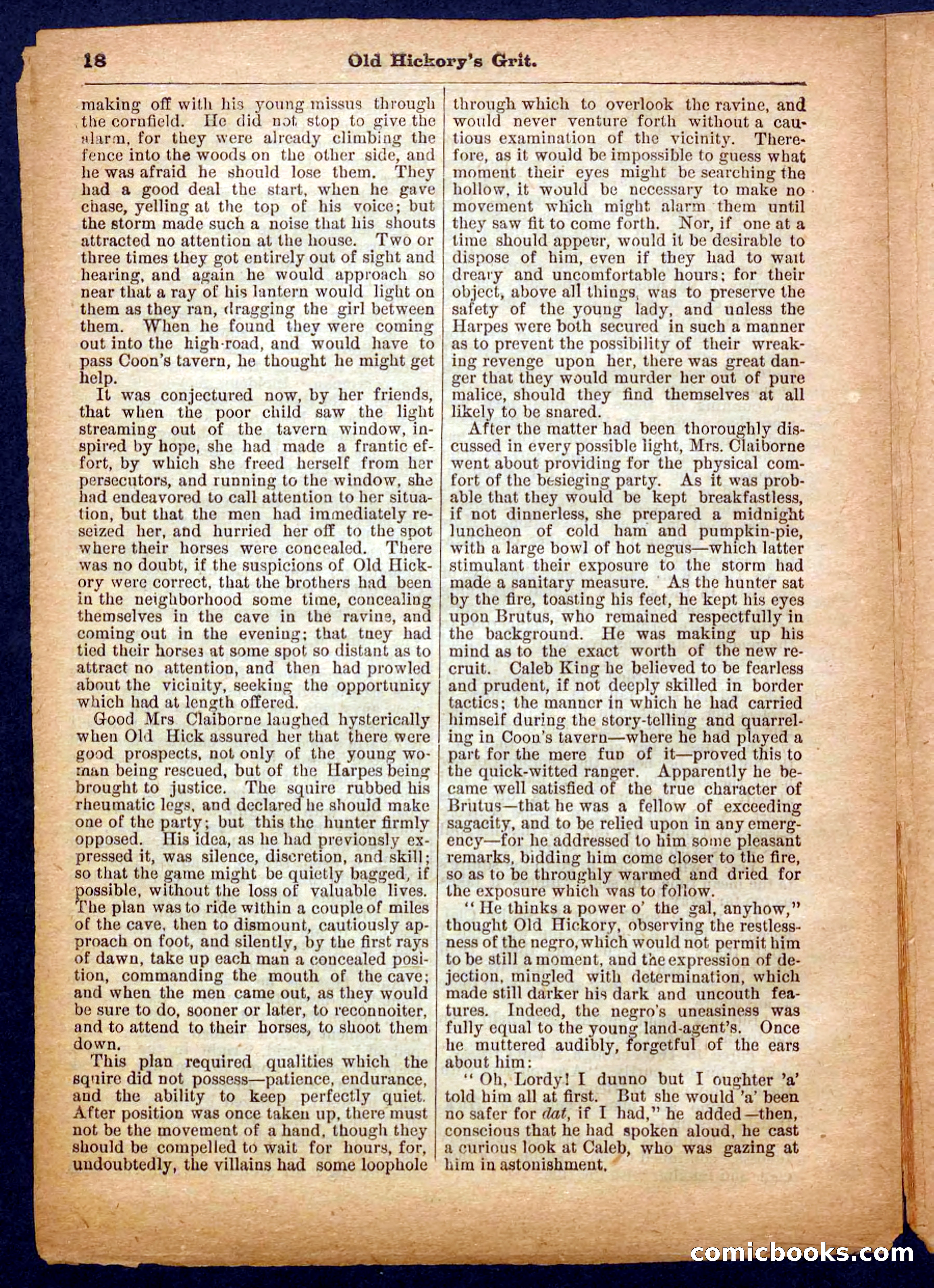 Beadle's Pocket Library No. 229 — page 18 of 32