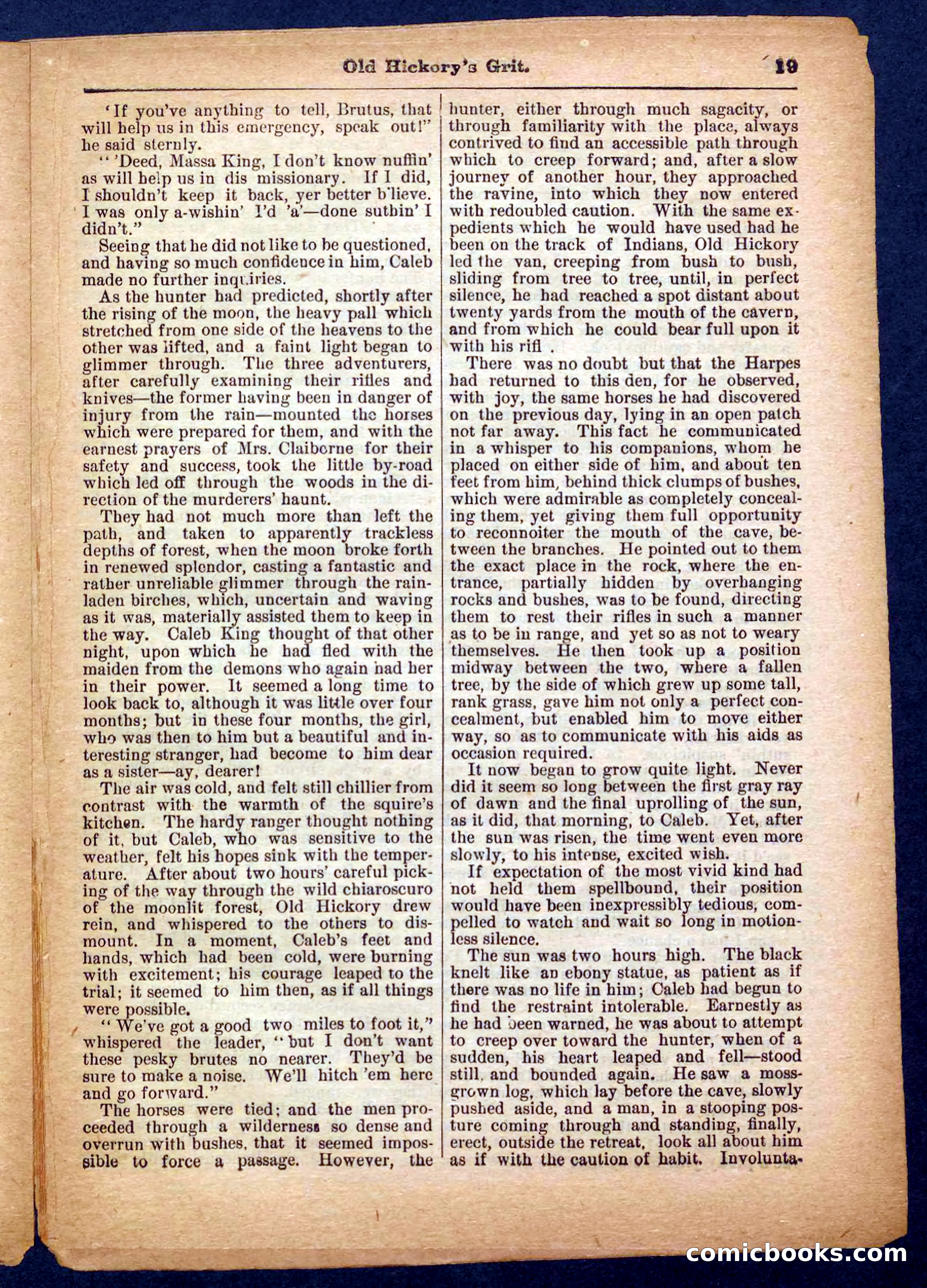 Beadle's Pocket Library No. 229 — page 19 of 32