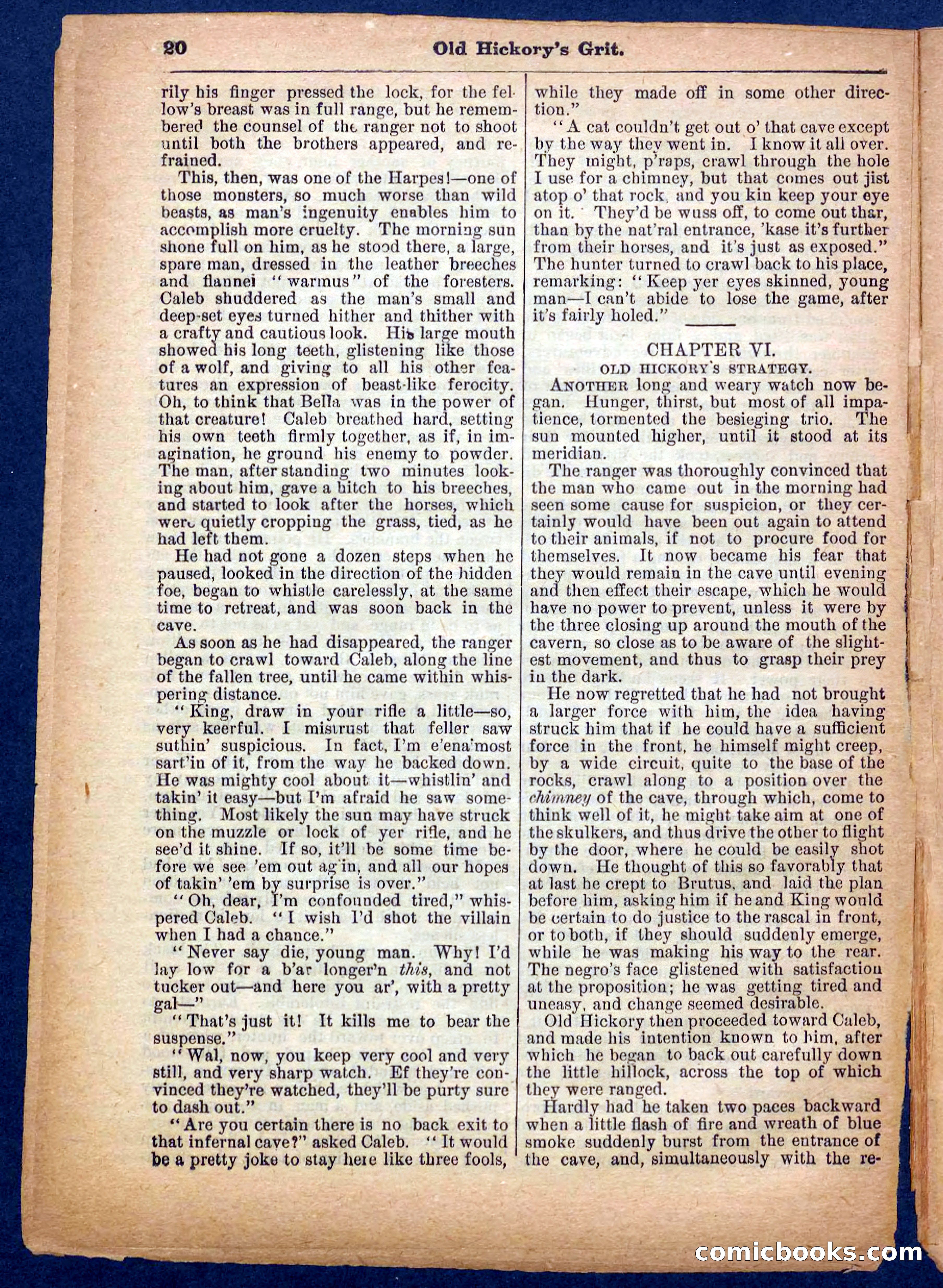 Beadle's Pocket Library No. 229 — page 20 of 32