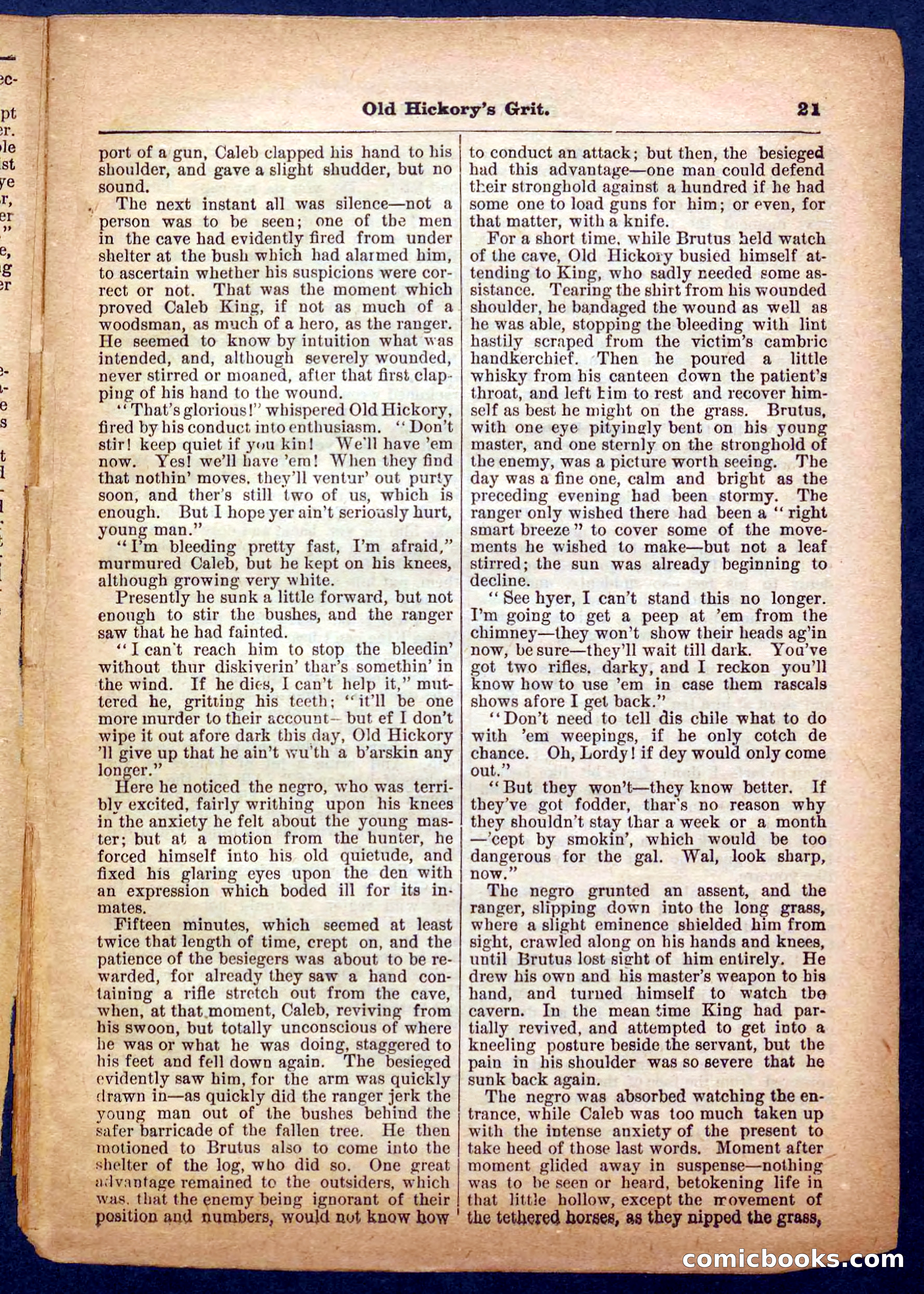 Beadle's Pocket Library No. 229 — page 21 of 32