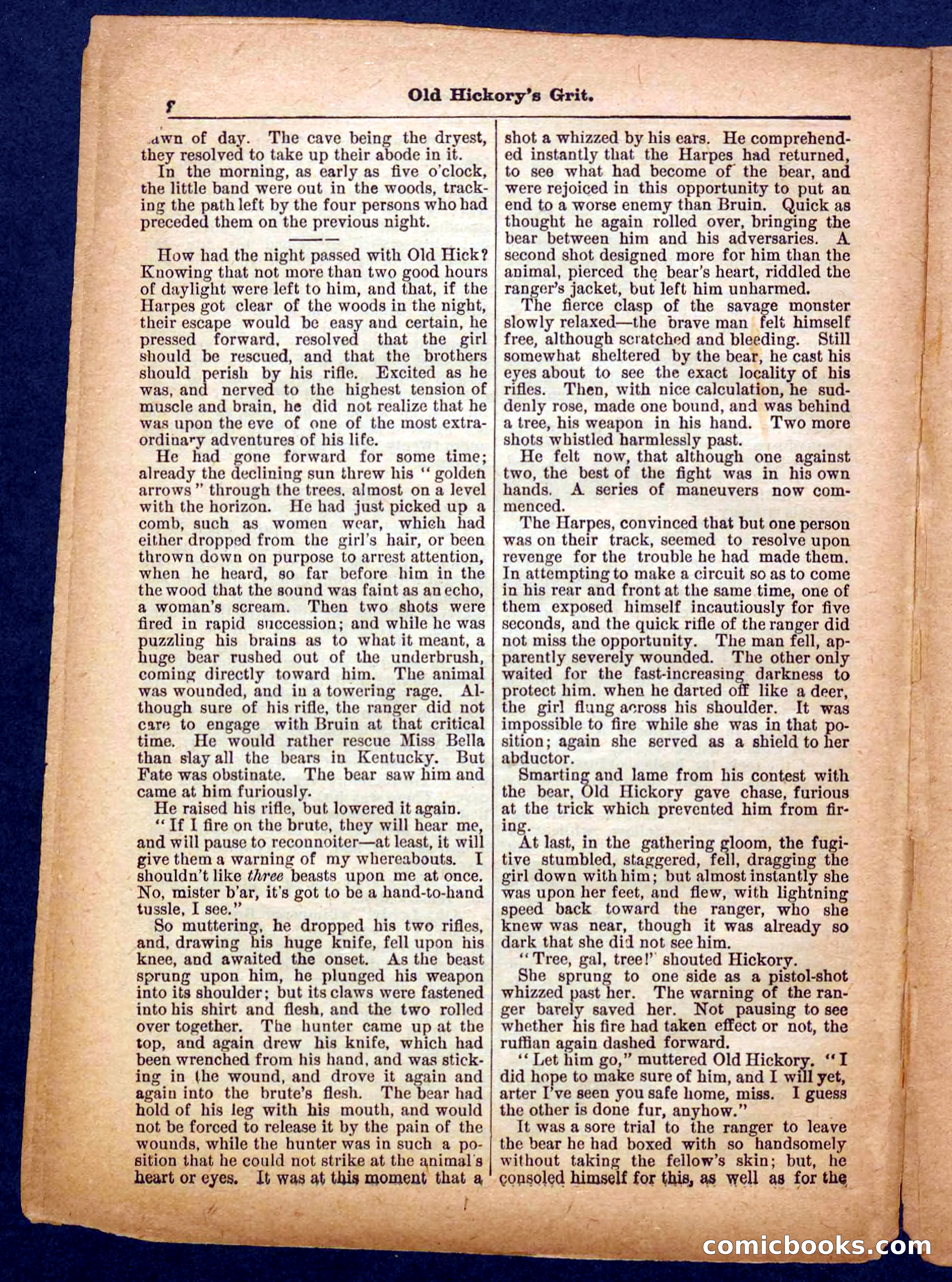 Beadle's Pocket Library No. 229 — page 24 of 32
