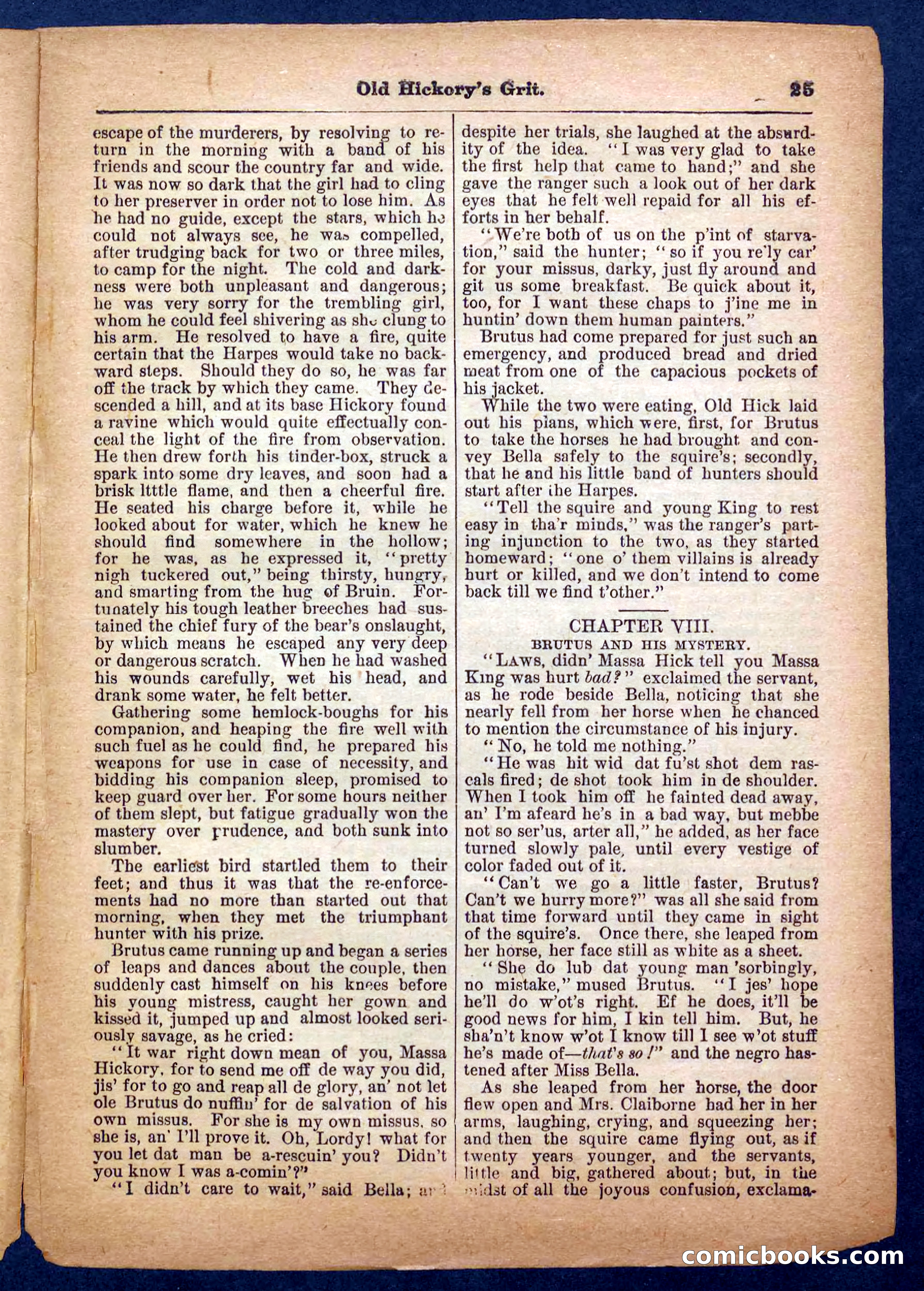 Beadle's Pocket Library No. 229 — page 25 of 32