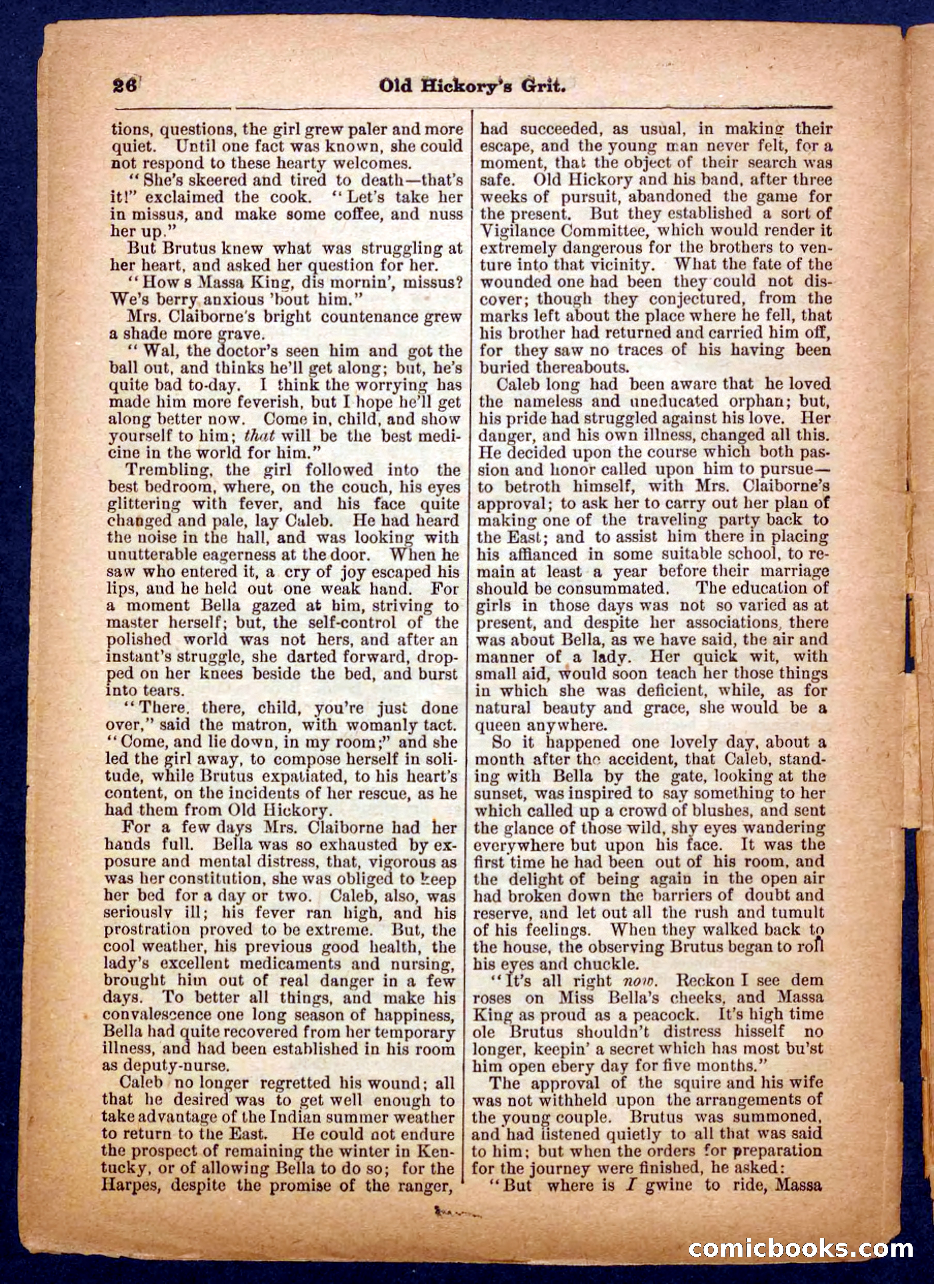 Beadle's Pocket Library No. 229 — page 26 of 32