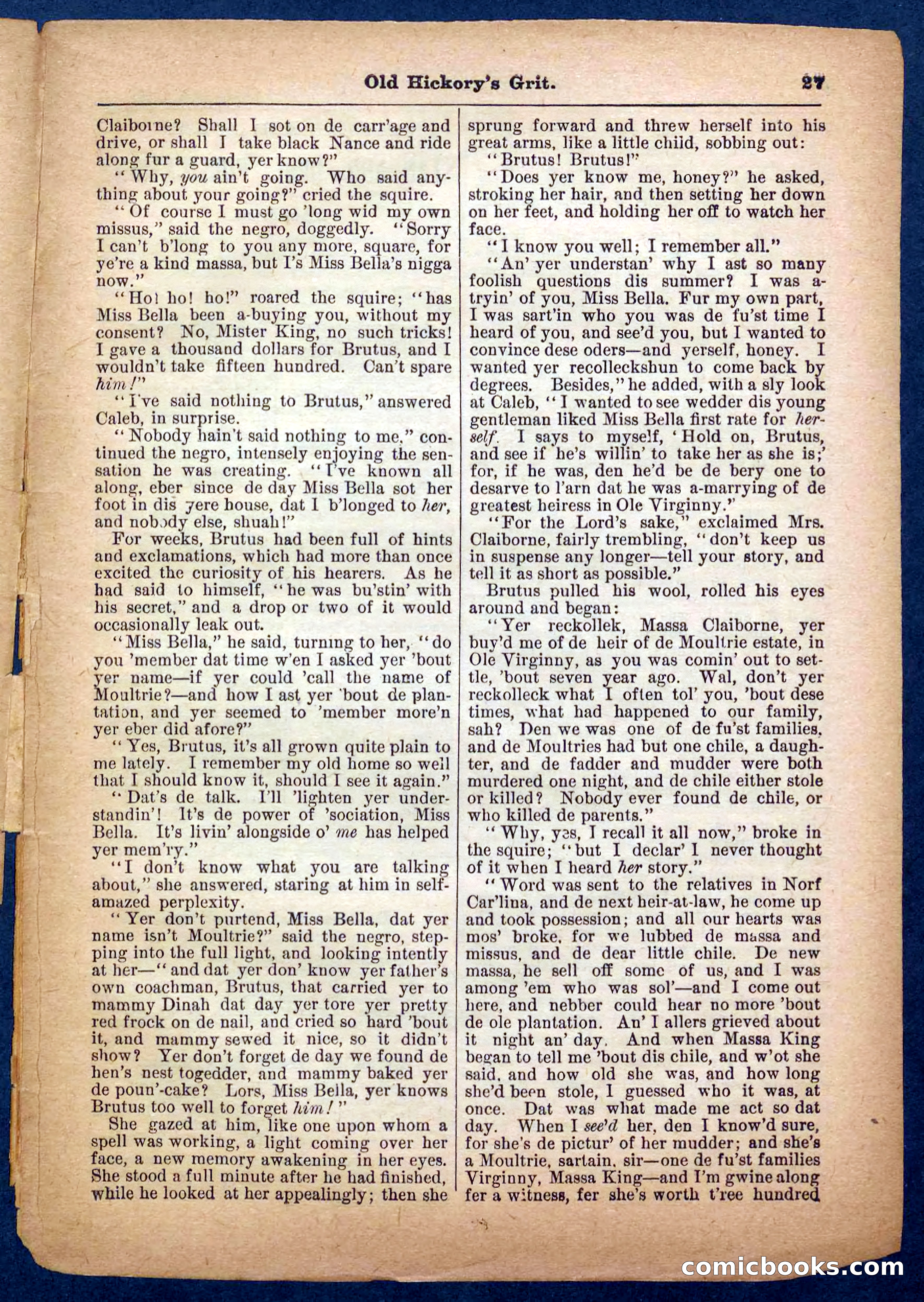 Beadle's Pocket Library No. 229 — page 27 of 32