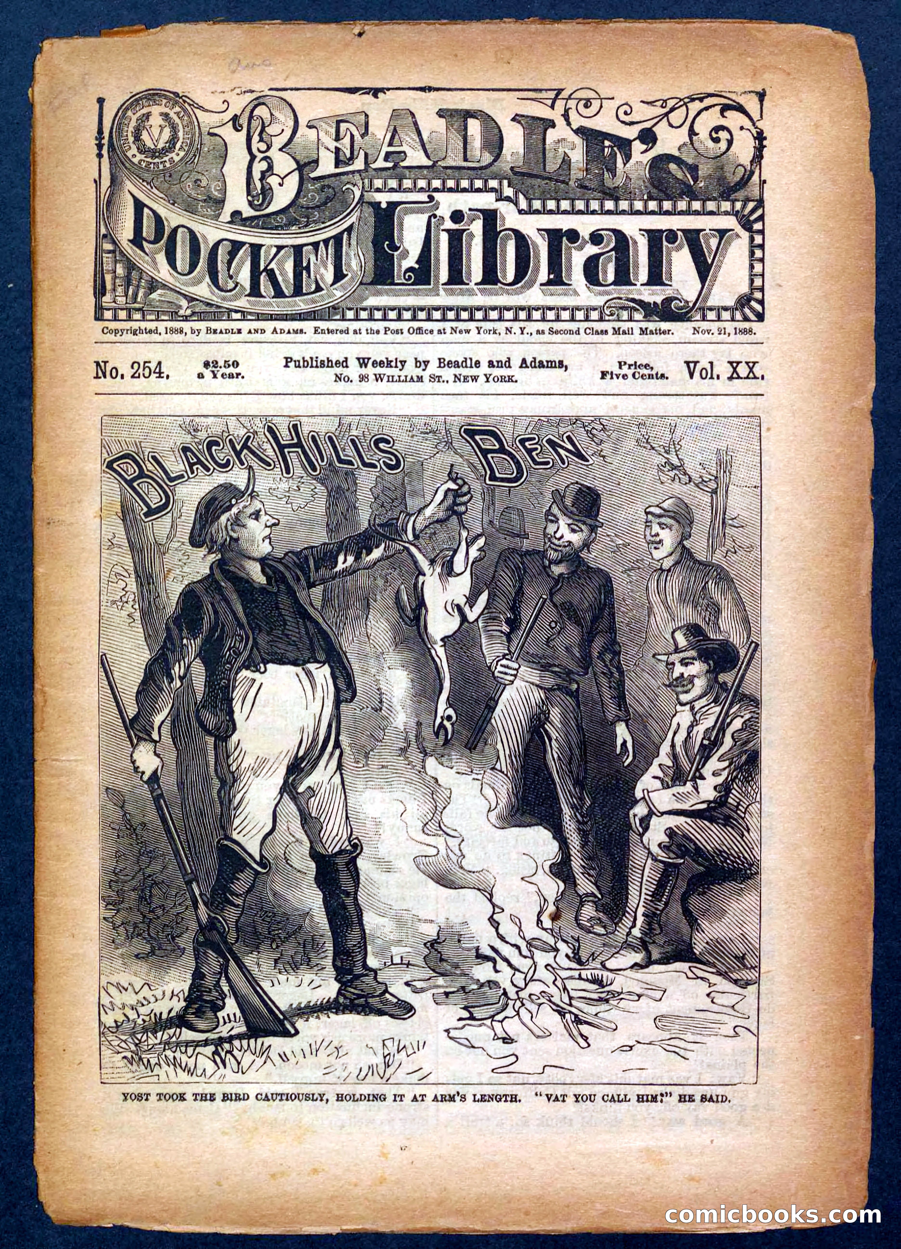 Beadle's Pocket Library No. 254 — page 1 of 32