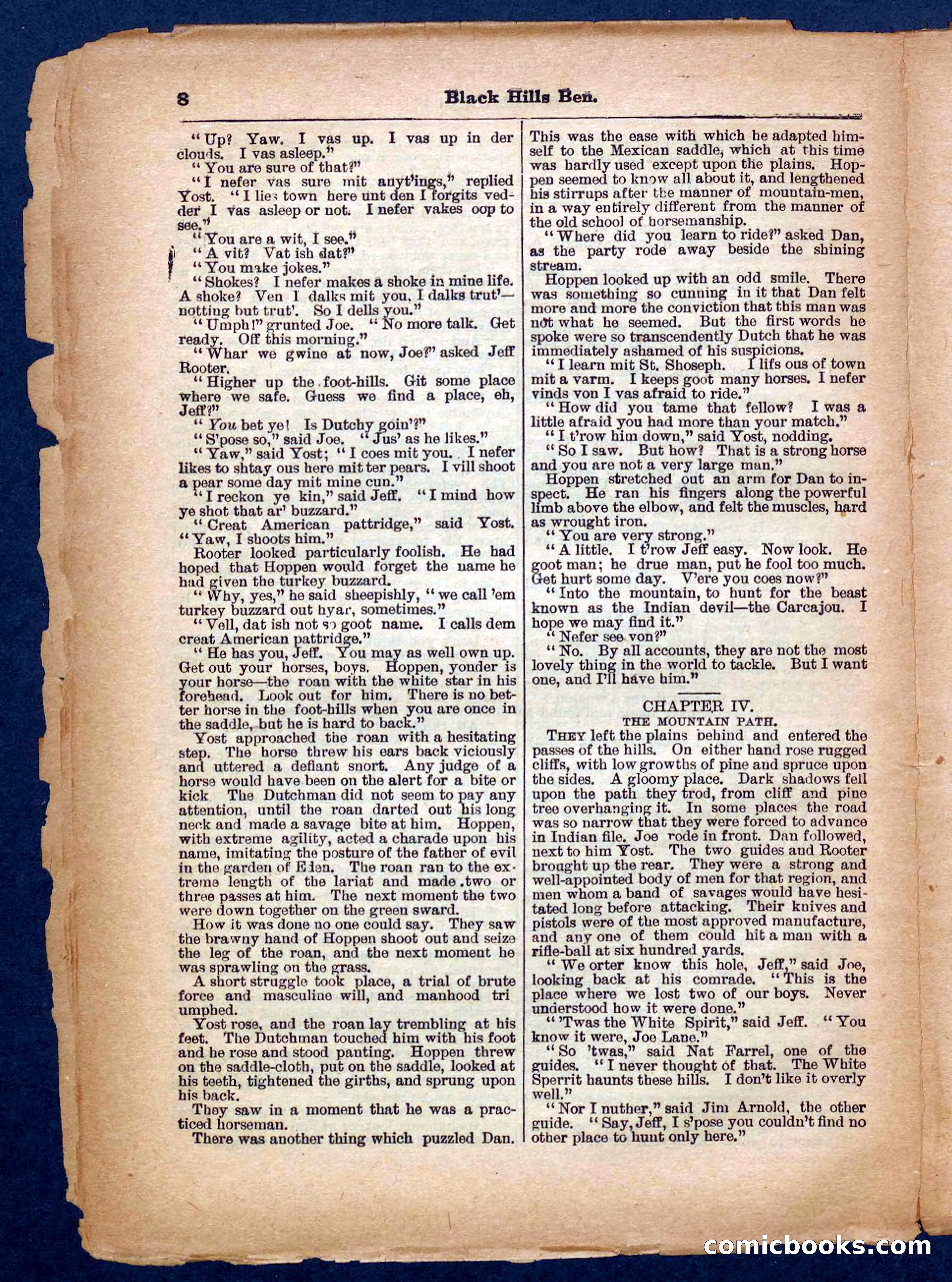 Beadle's Pocket Library No. 254 — page 8 of 32