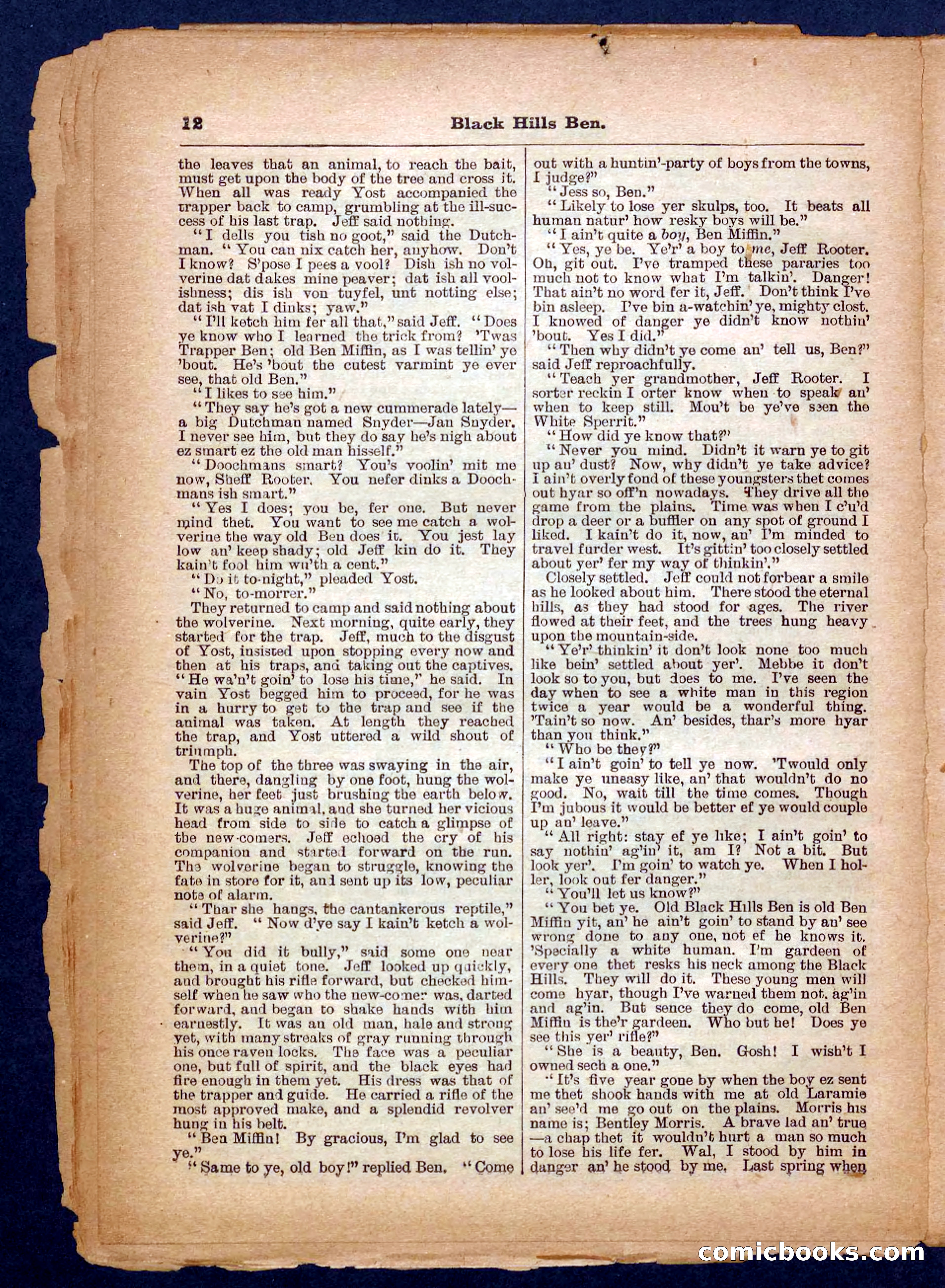 Beadle's Pocket Library No. 254 — page 12 of 32