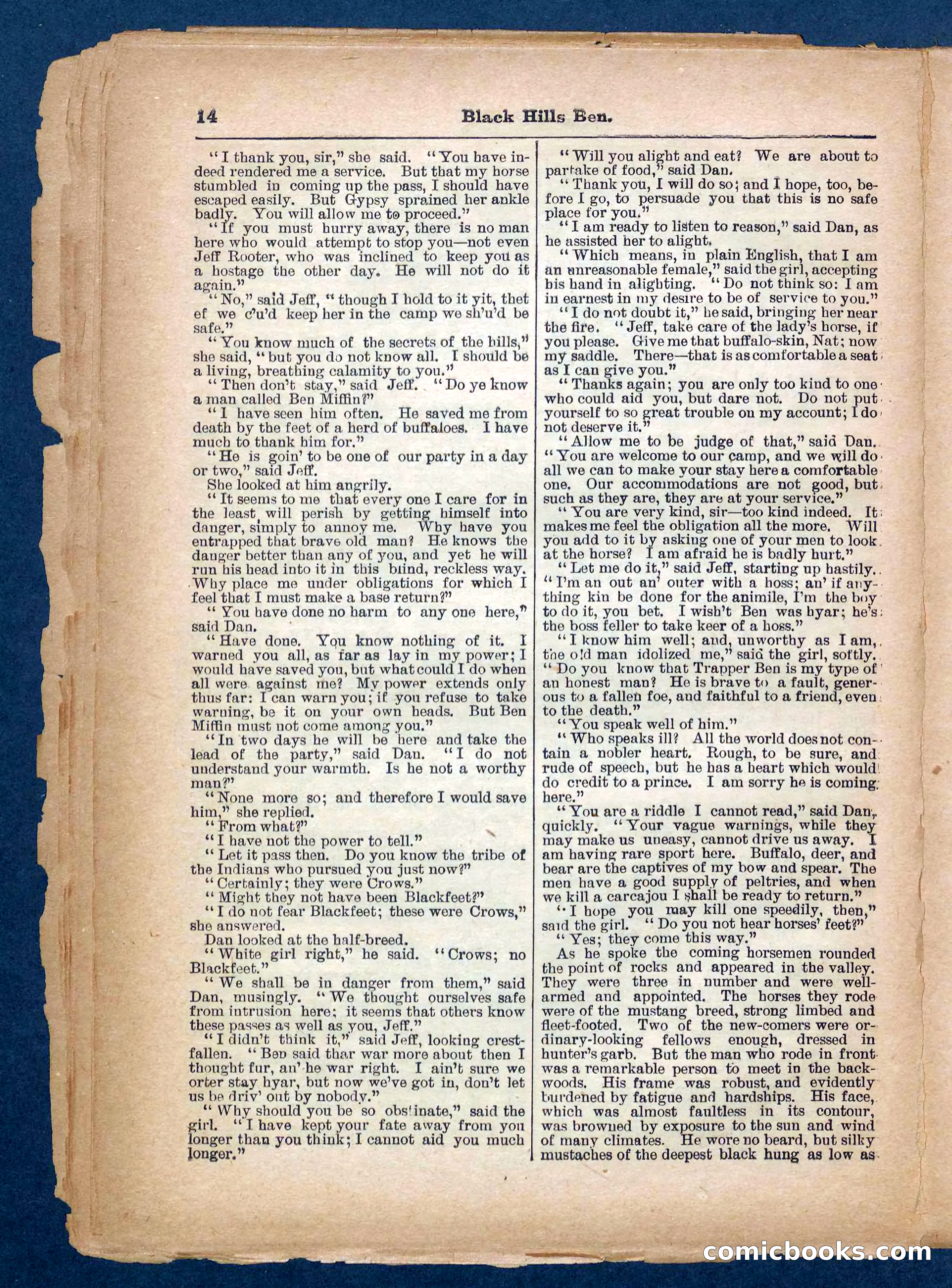 Beadle's Pocket Library No. 254 — page 14 of 32