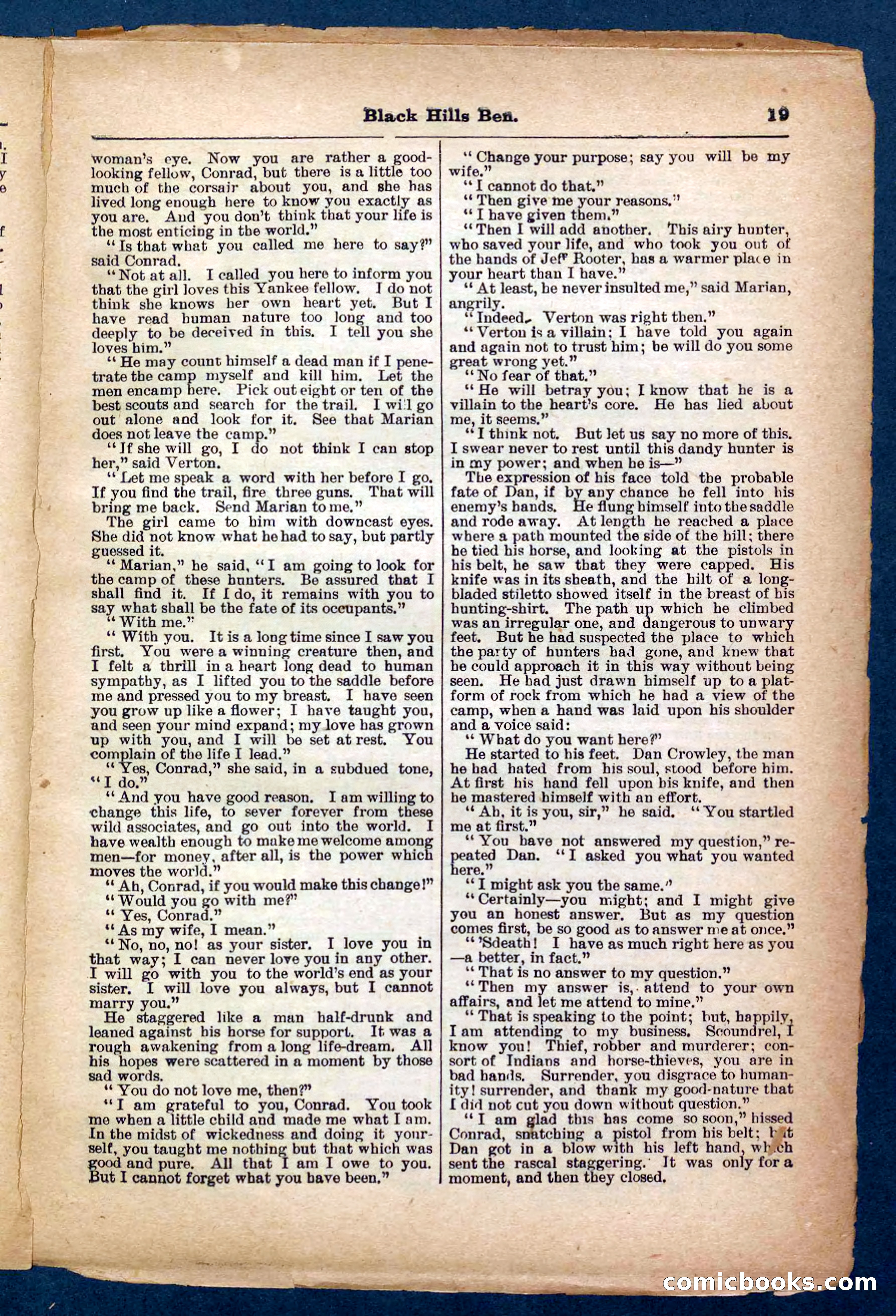 Beadle's Pocket Library No. 254 — page 19 of 32