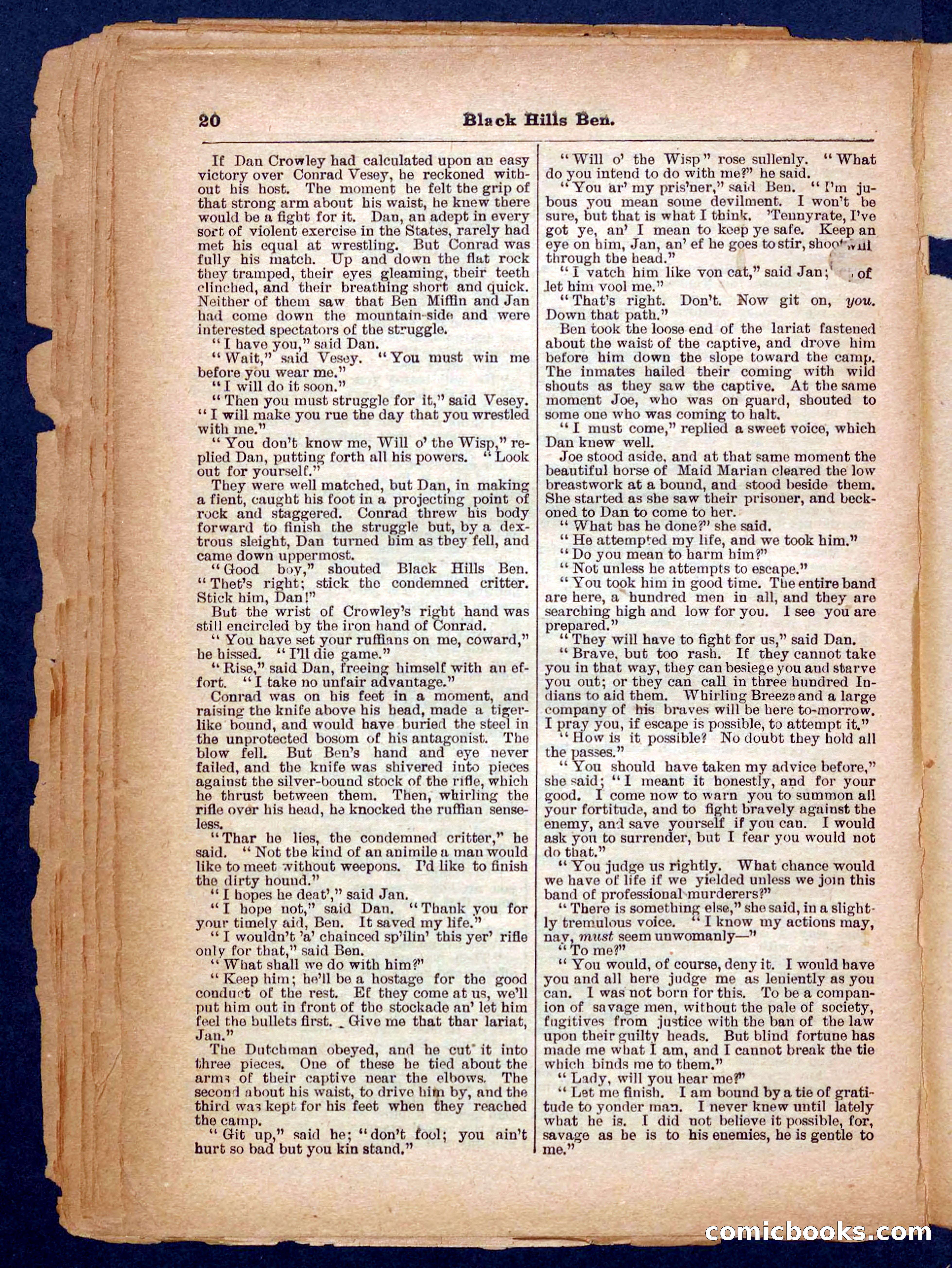 Beadle's Pocket Library No. 254 — page 20 of 32
