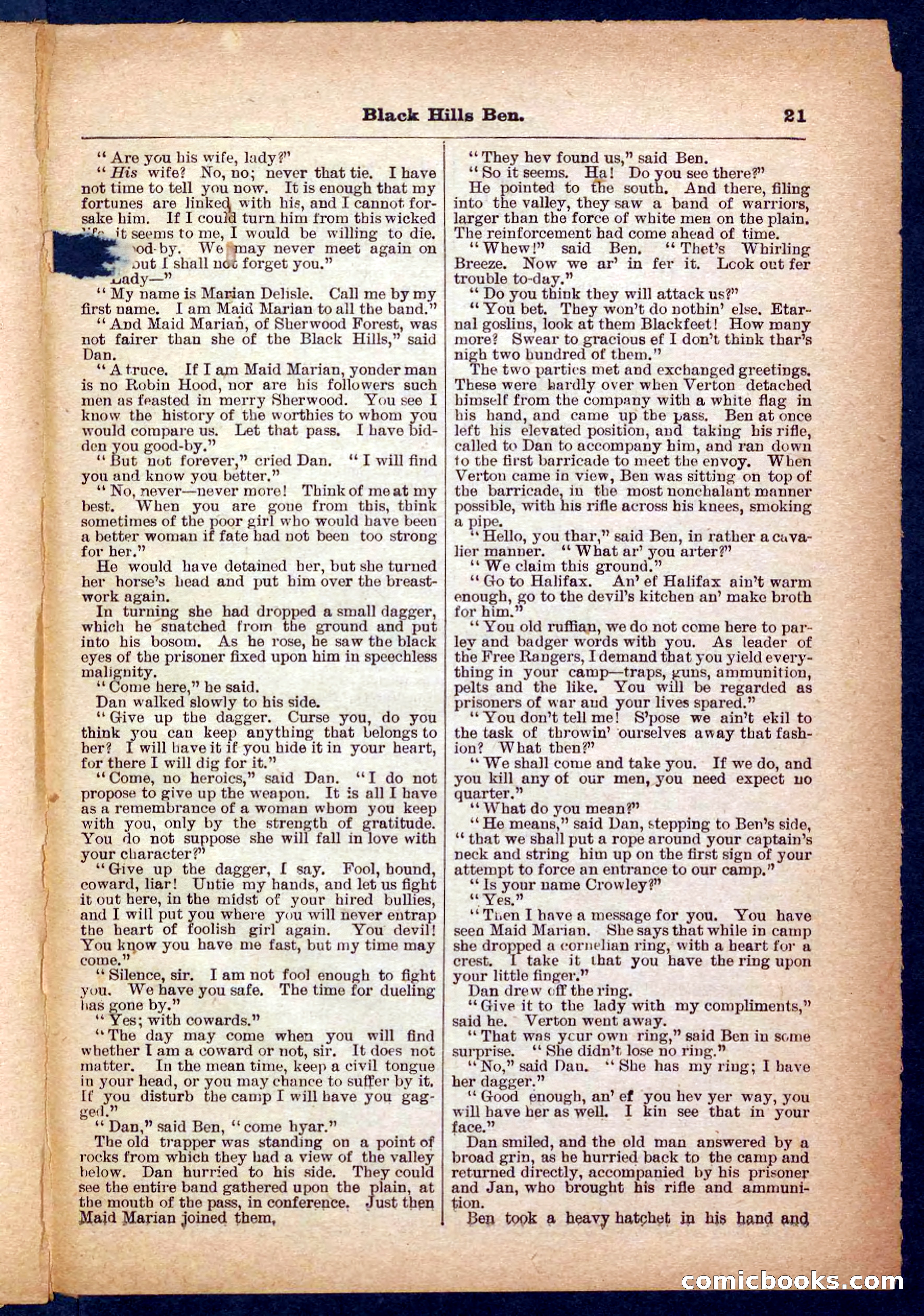 Beadle's Pocket Library No. 254 — page 21 of 32