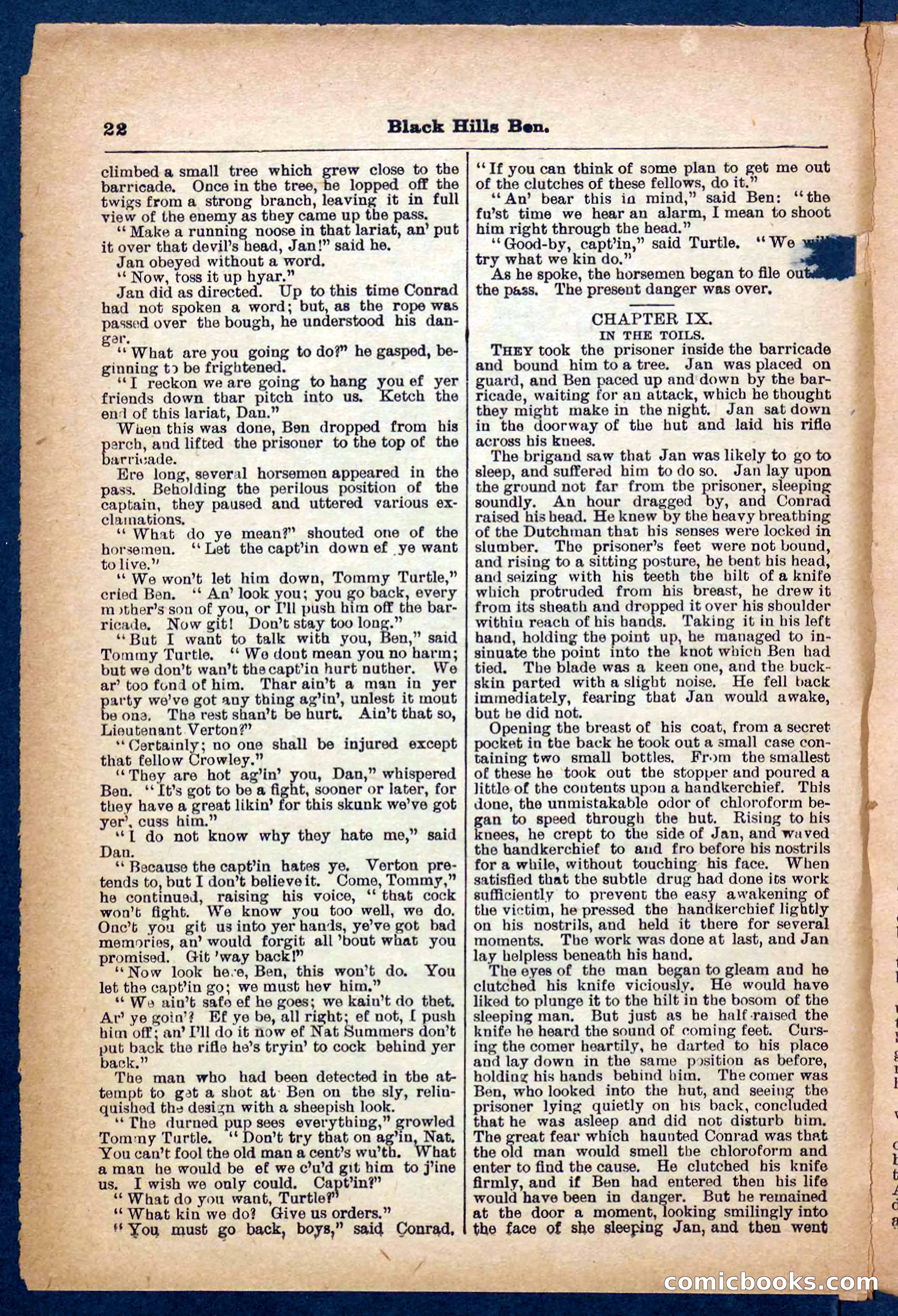 Beadle's Pocket Library No. 254 — page 22 of 32