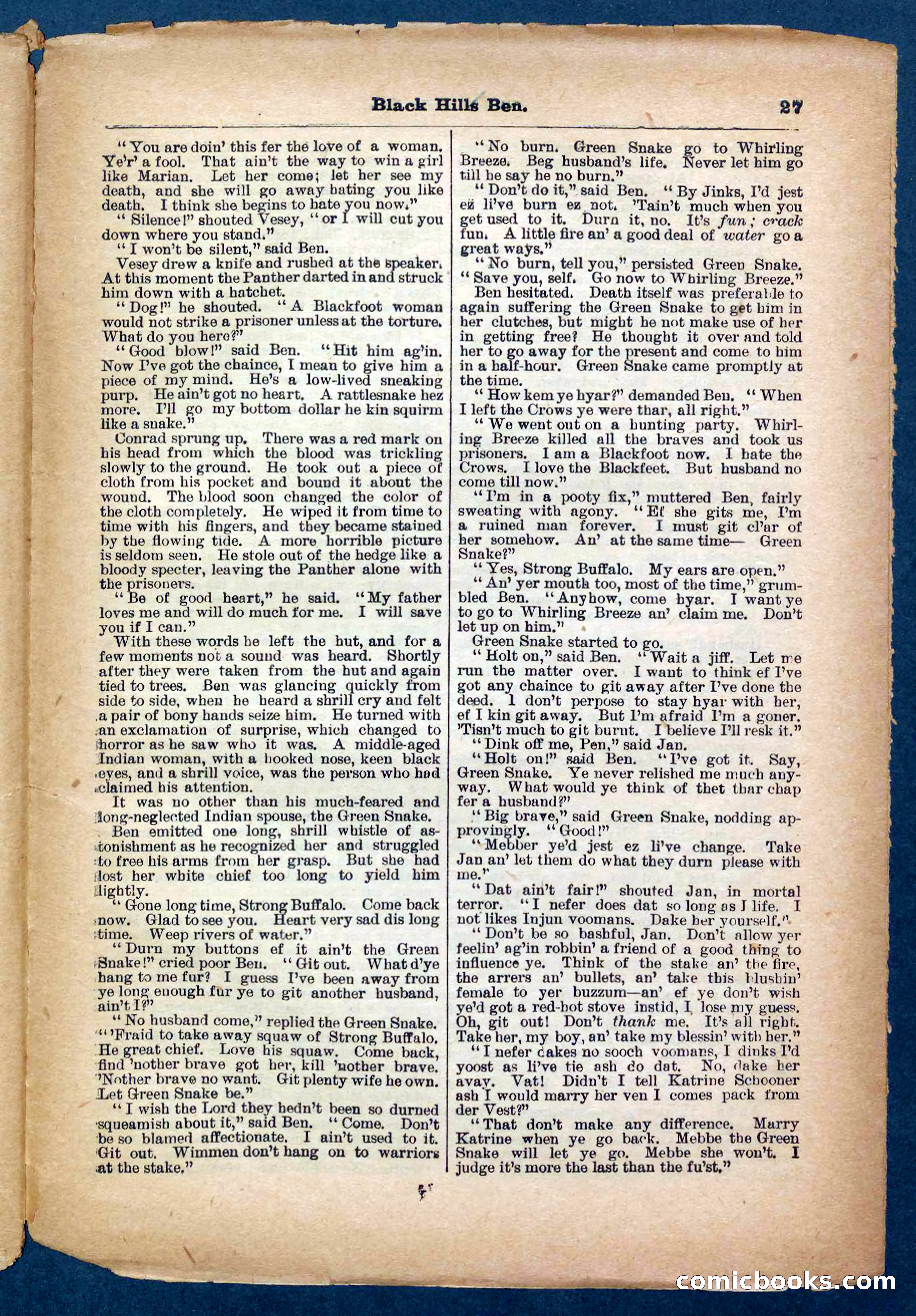 Beadle's Pocket Library No. 254 — page 27 of 32