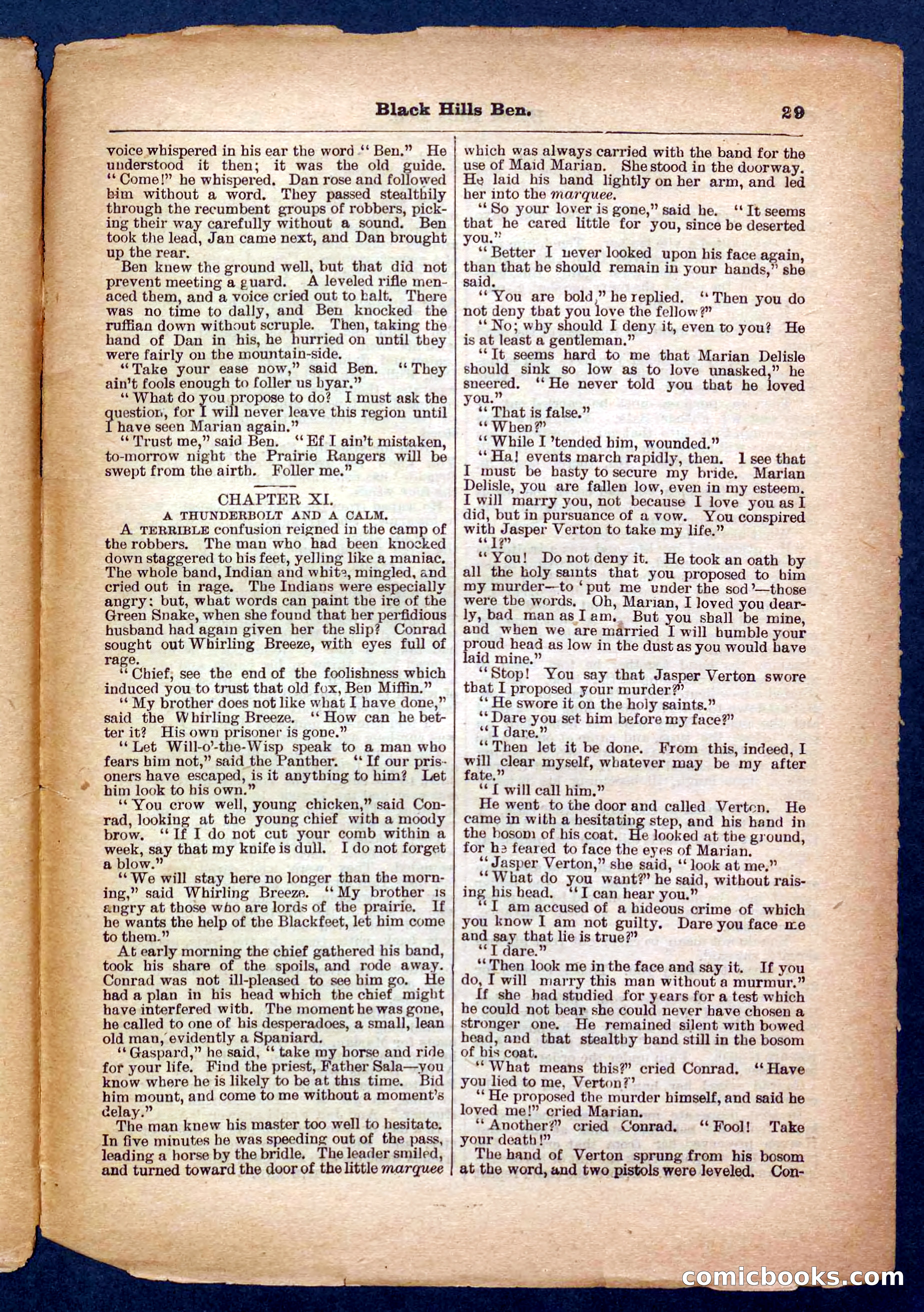 Beadle's Pocket Library No. 254 — page 29 of 32