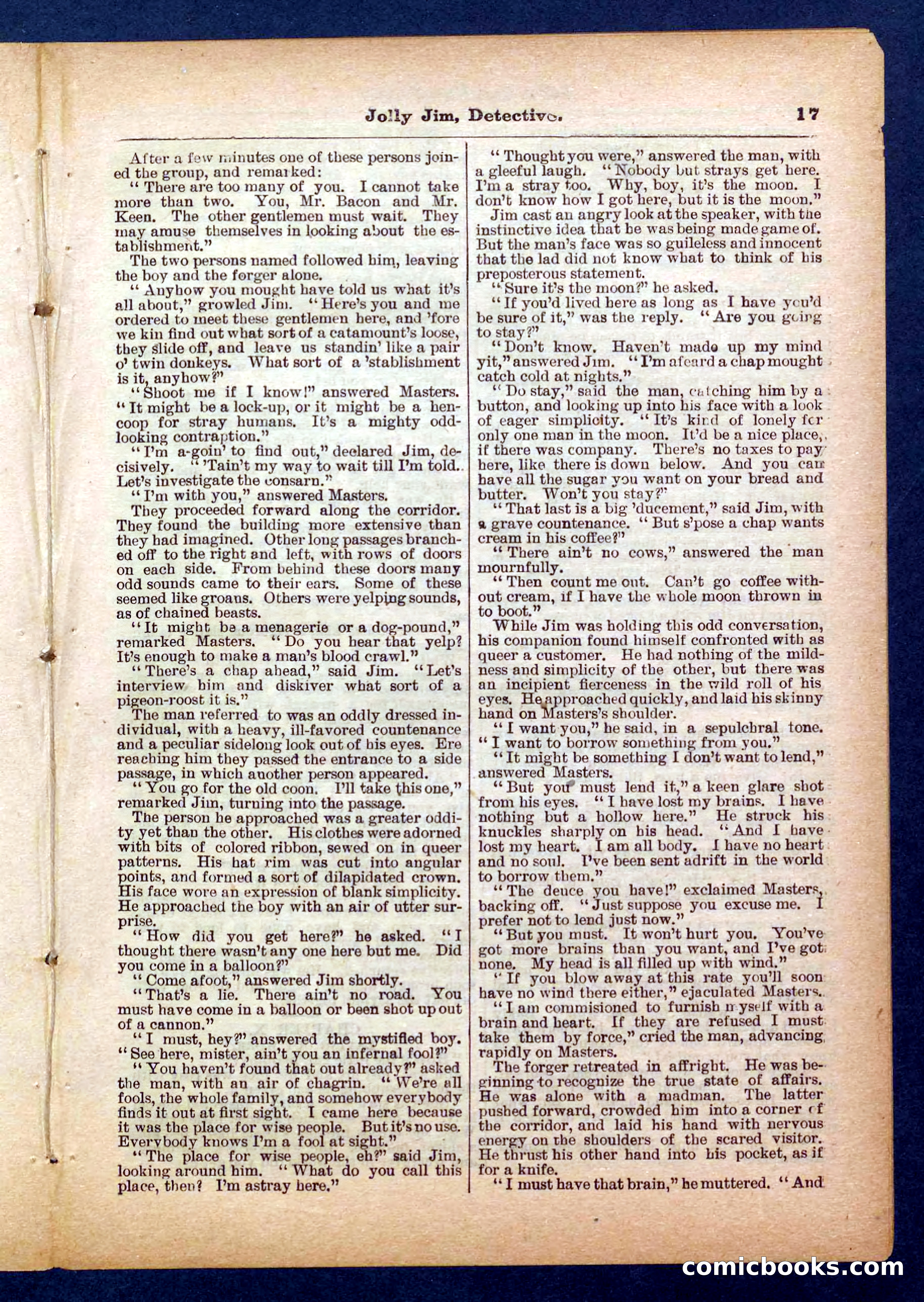 Beadle's Pocket Library No. 255: Jolly Jim, Detective — page 17 of 32