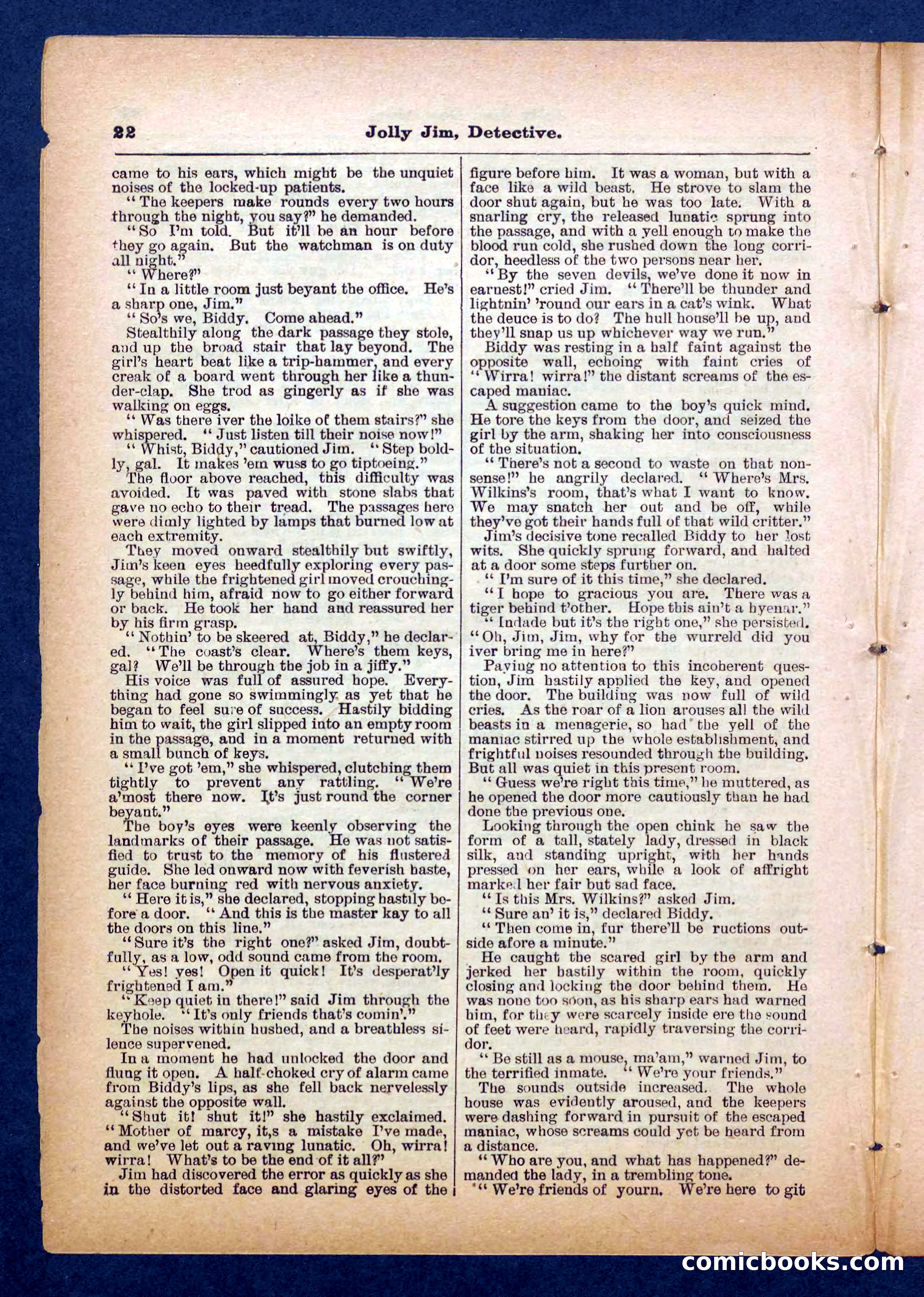 Beadle's Pocket Library No. 255: Jolly Jim, Detective — page 22 of 32