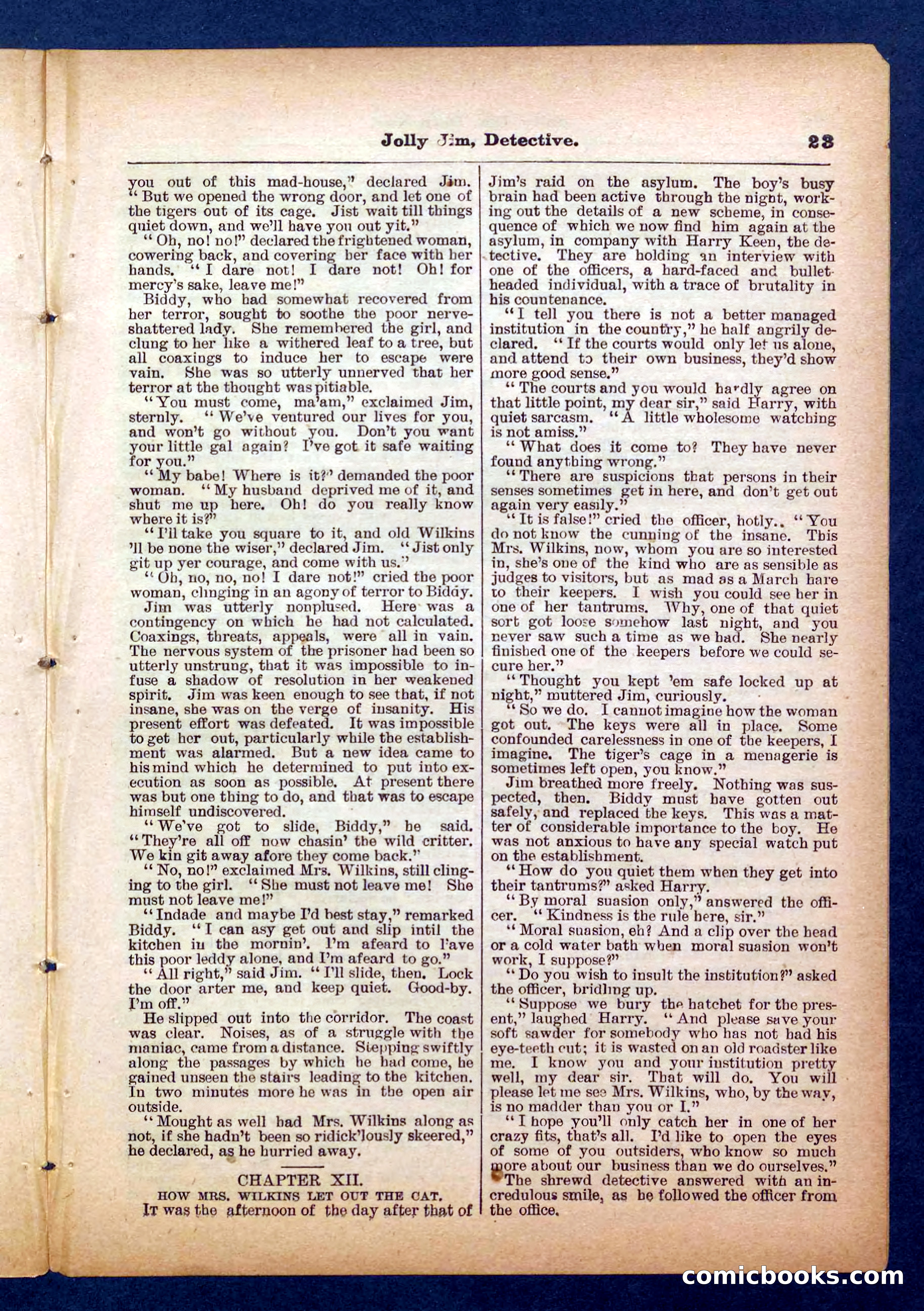 Beadle's Pocket Library No. 255: Jolly Jim, Detective — page 23 of 32