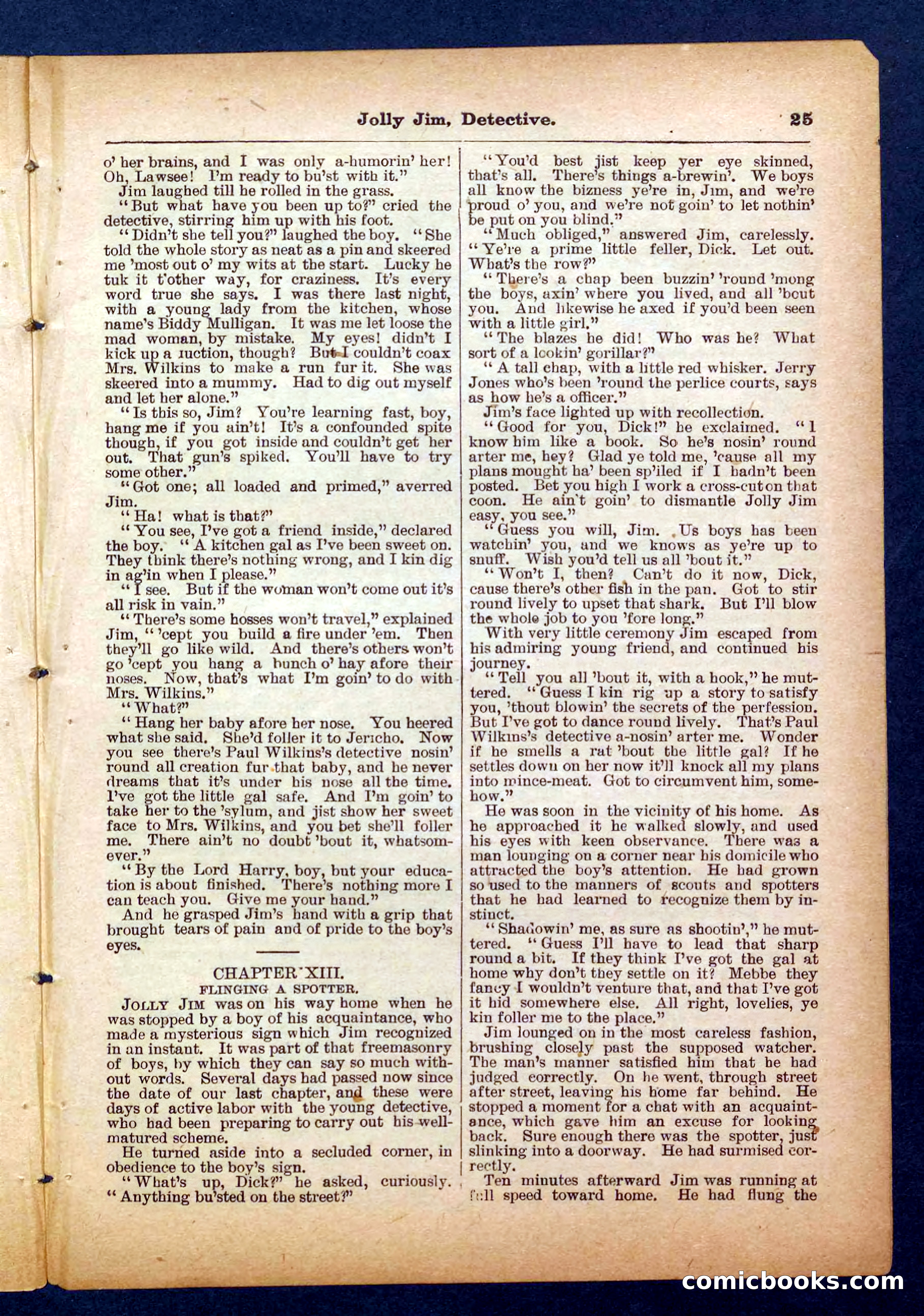 Beadle's Pocket Library No. 255: Jolly Jim, Detective — page 25 of 32