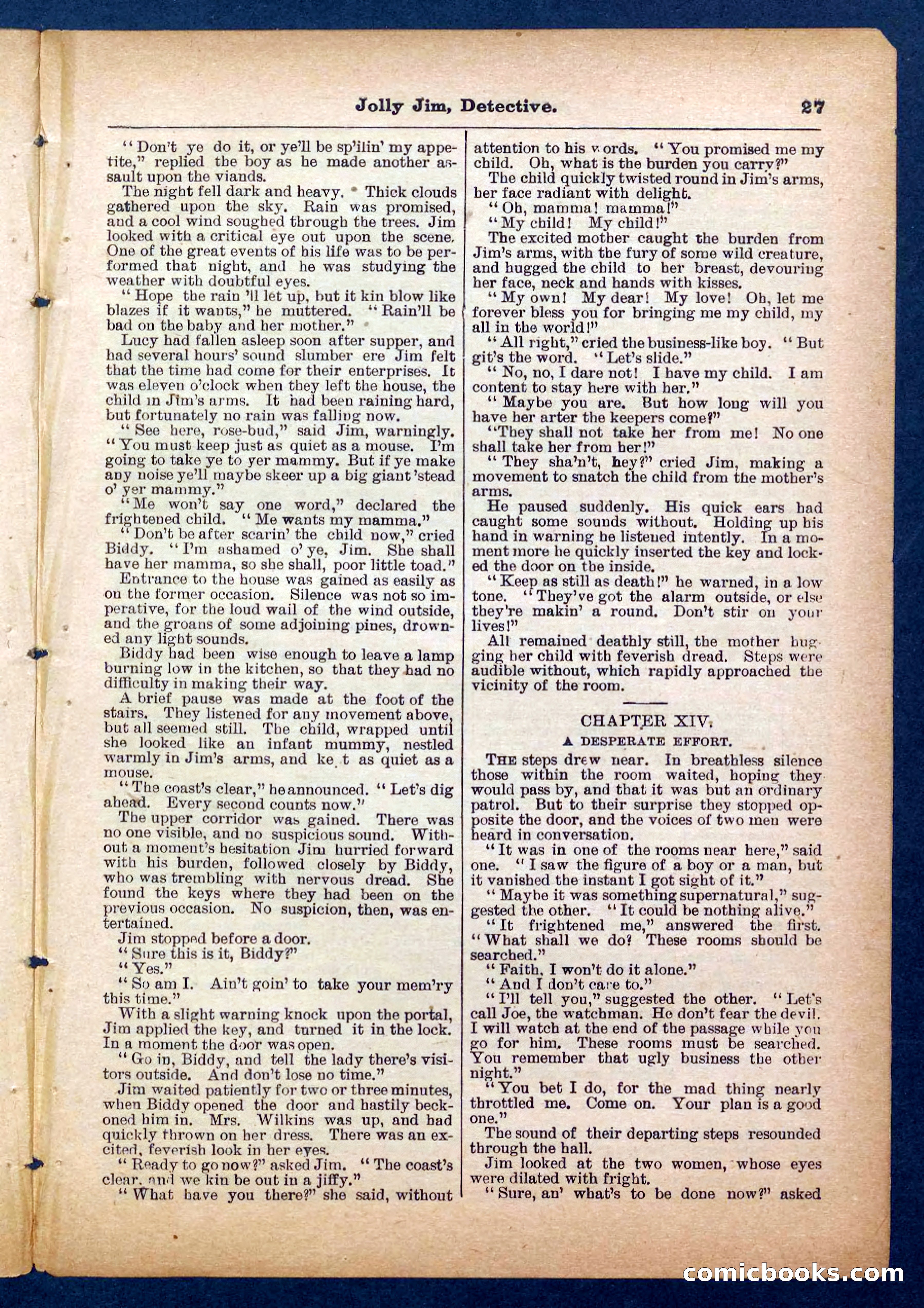 Beadle's Pocket Library No. 255: Jolly Jim, Detective — page 27 of 32