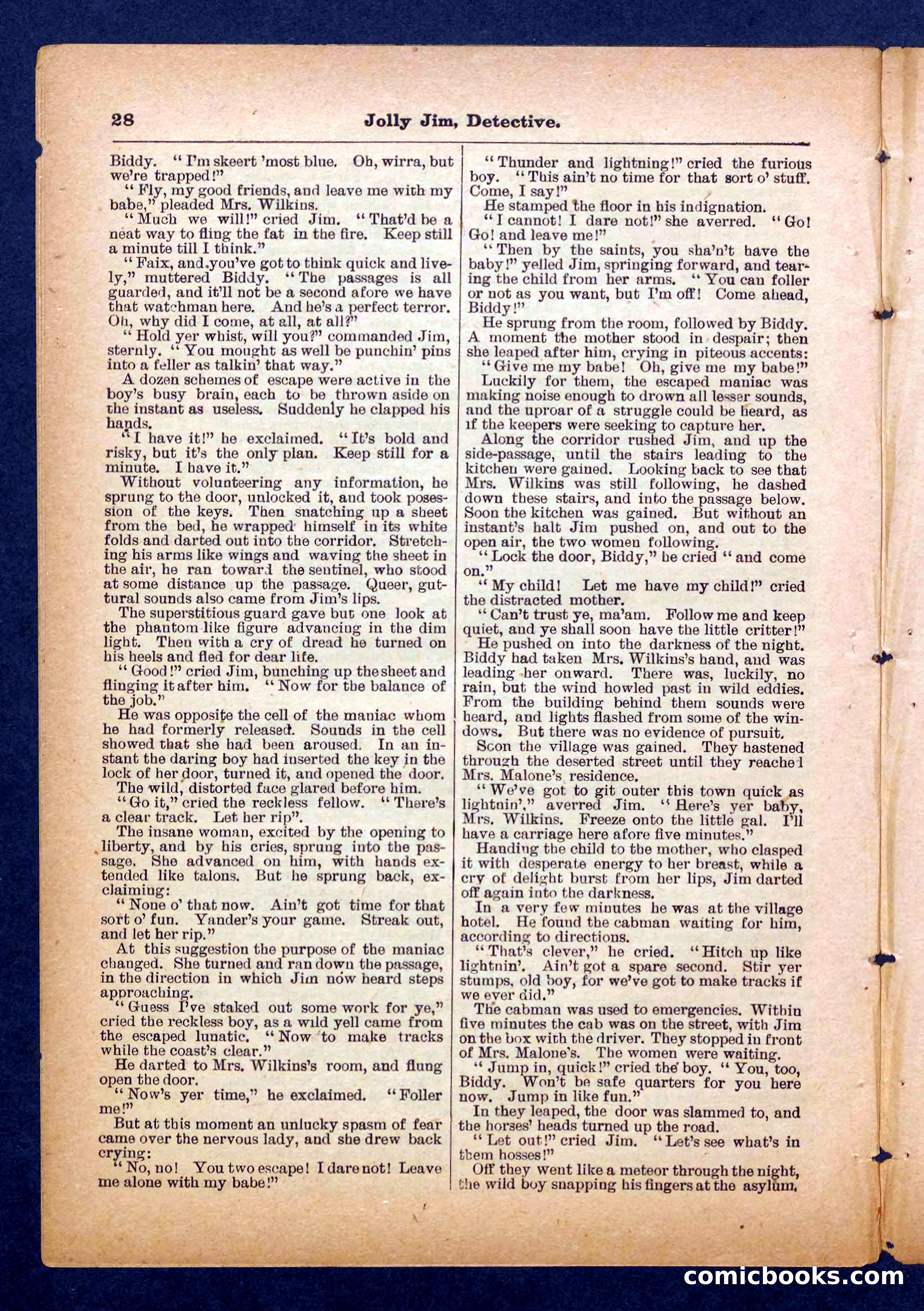 Beadle's Pocket Library No. 255: Jolly Jim, Detective — page 28 of 32
